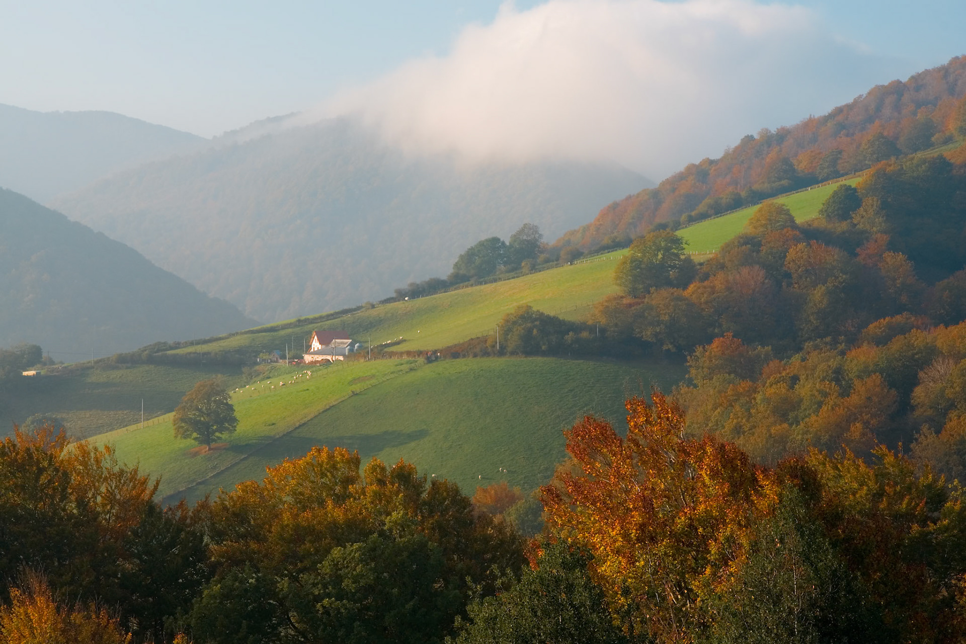 The Farm on the Hill