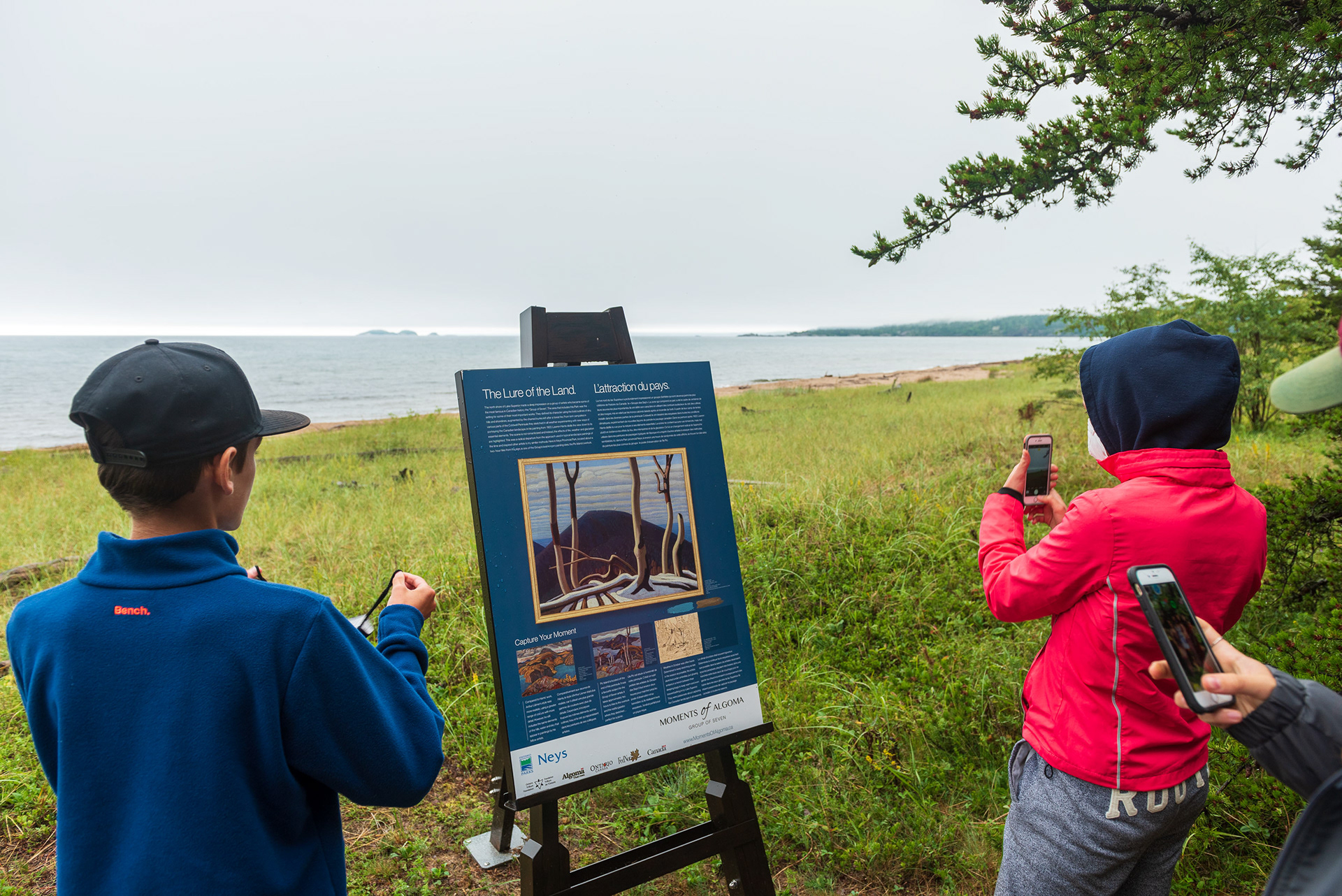 New tech meets old tech meets nature.