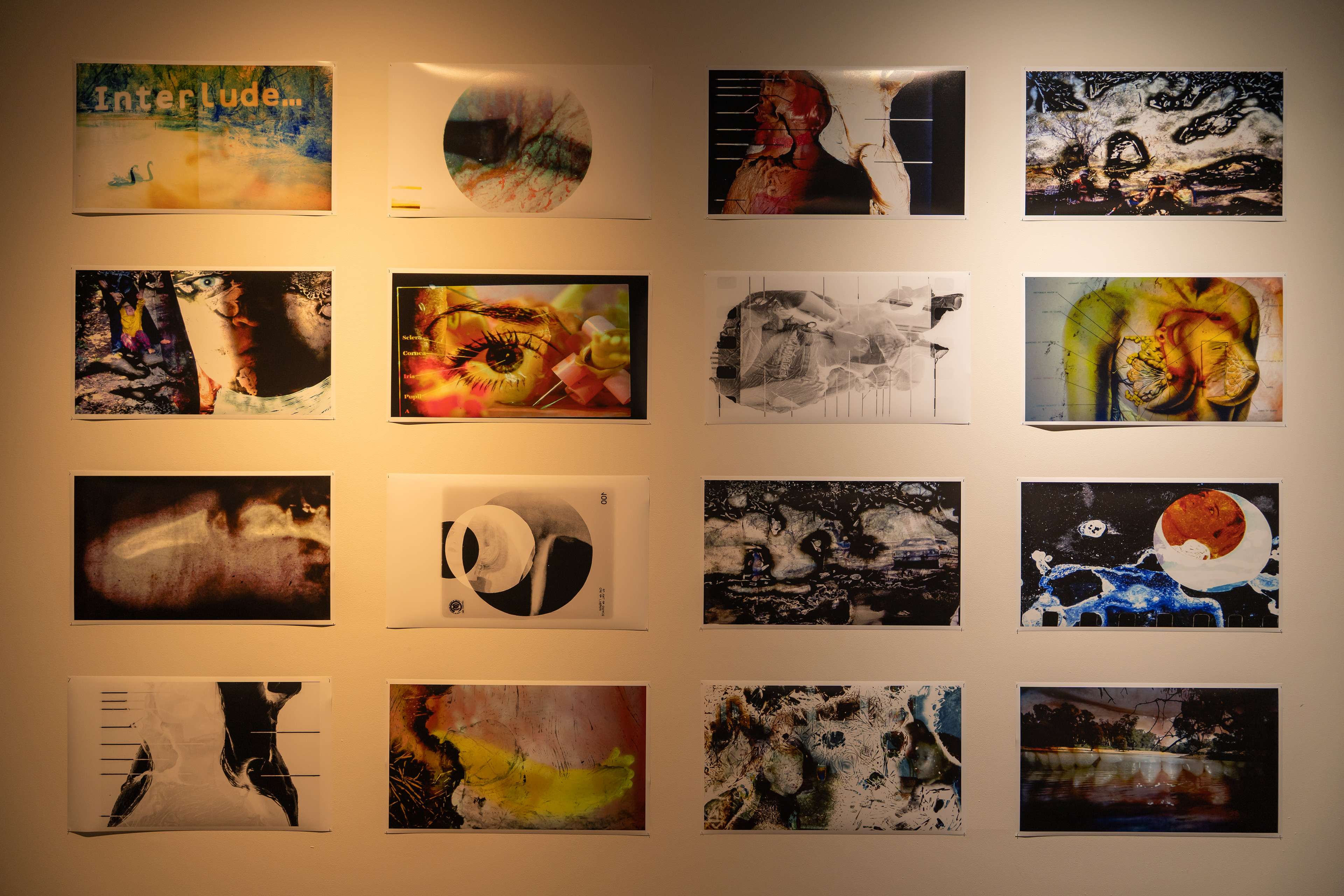 Interlude/Motherlode Install View. 2025. 