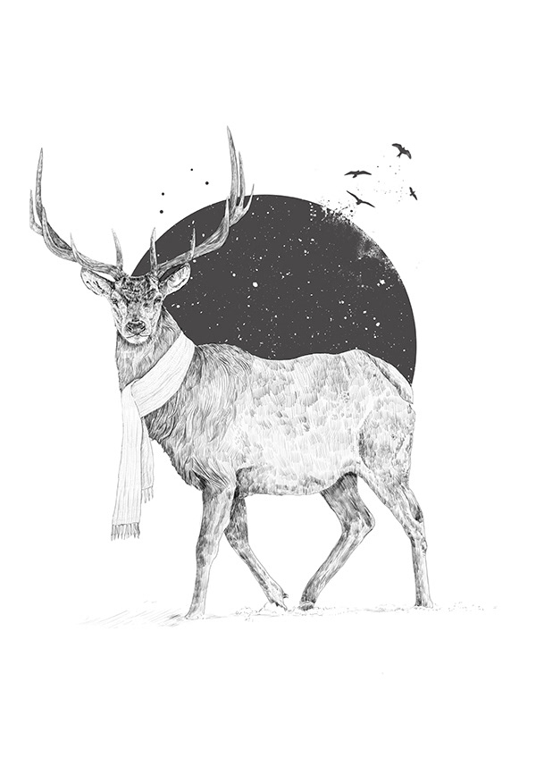 Winter Is All Around