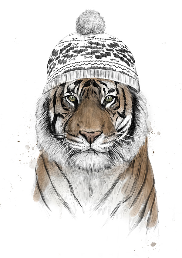 Siberian Tiger