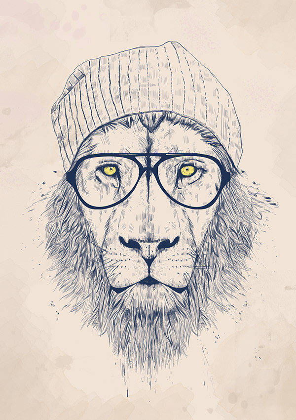 Cool Lion