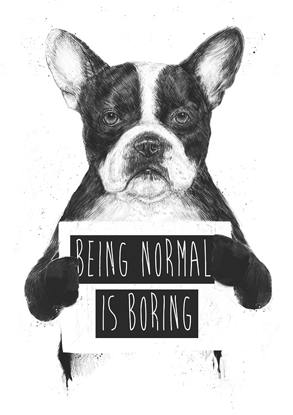 Being Normal Is Broing