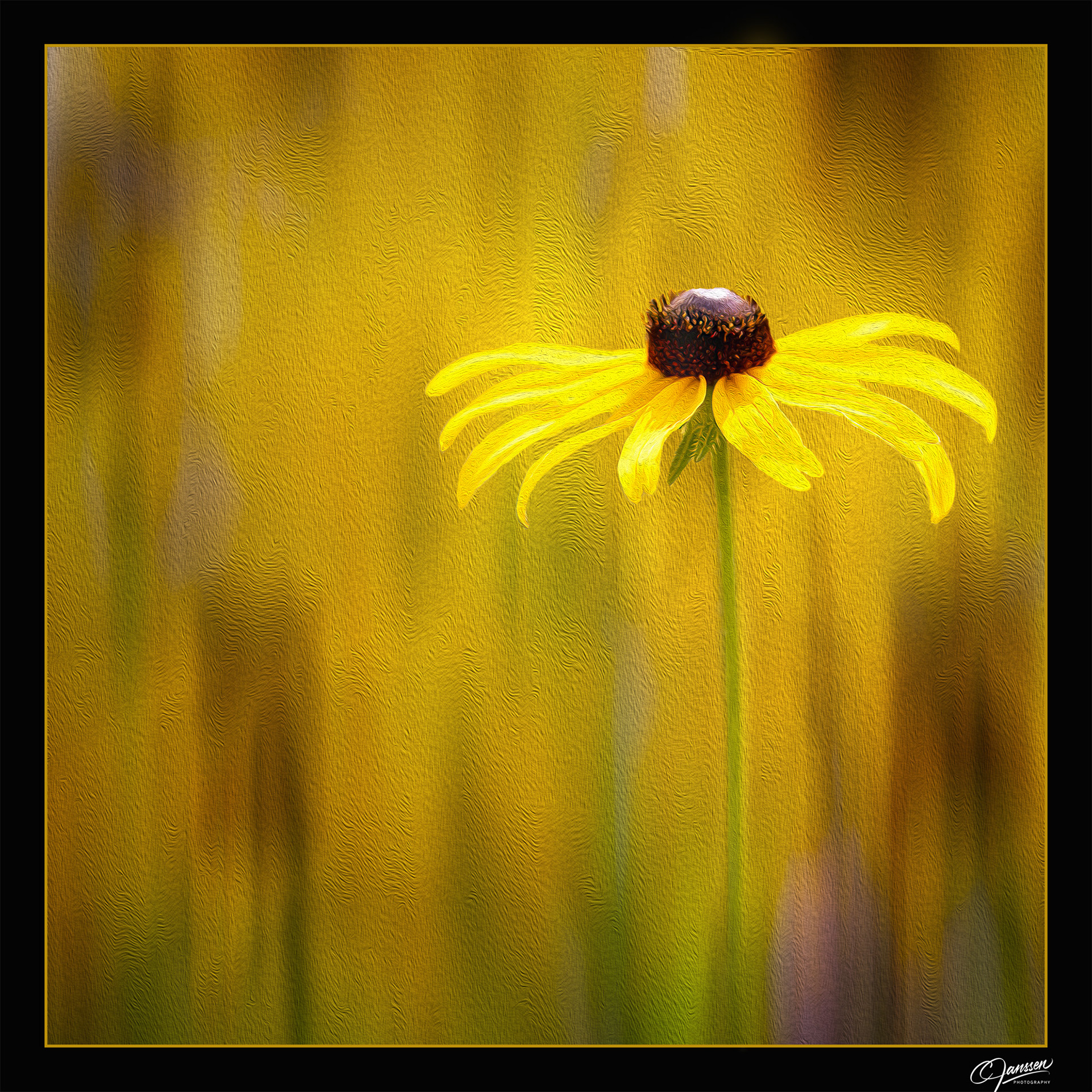 Abstract Prairie