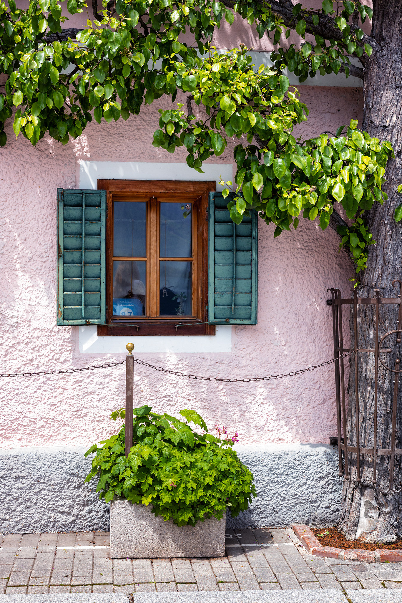 Window with Leaves