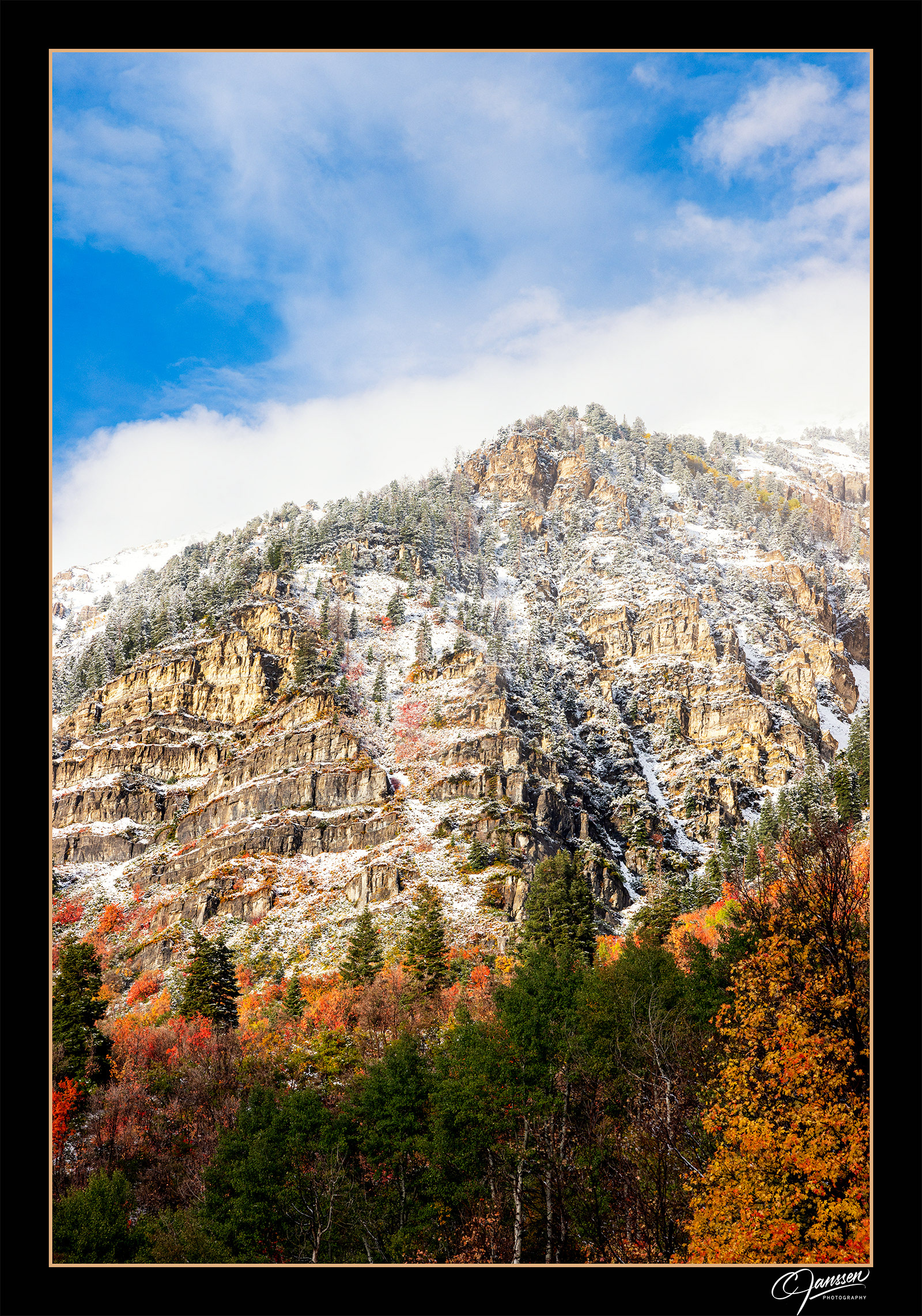 Rocks and Trees