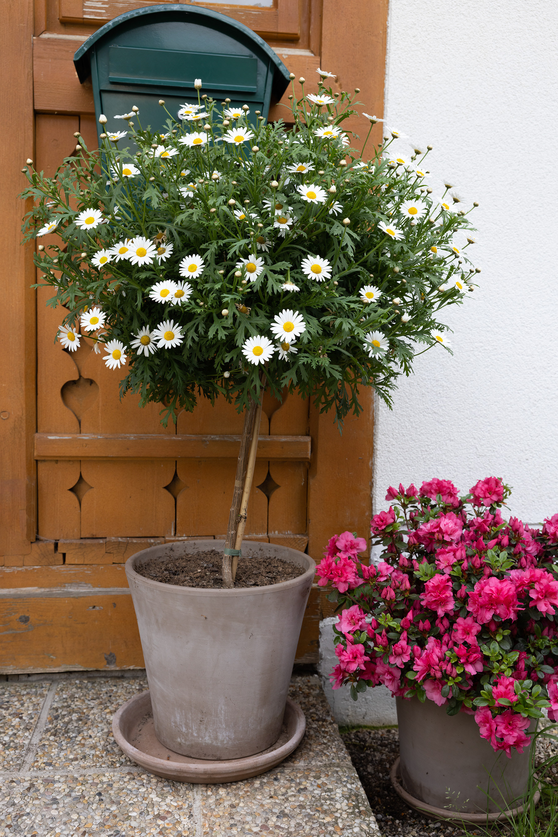 Flower Decorations