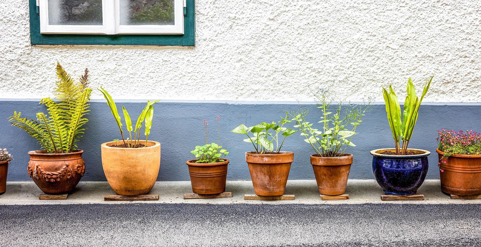 Line of Pots