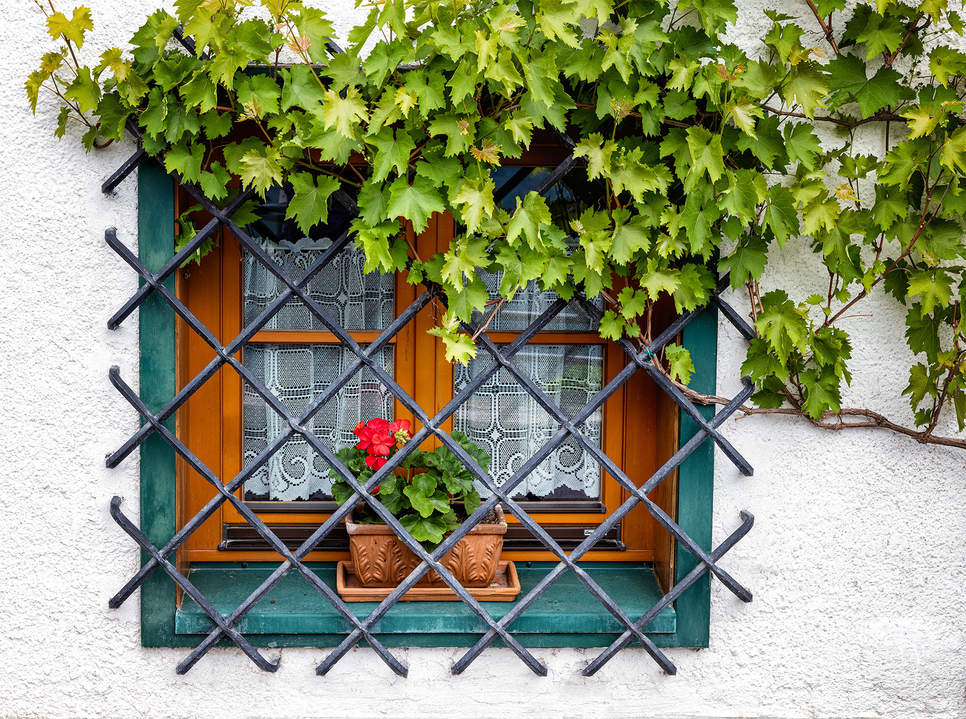 Barred Window