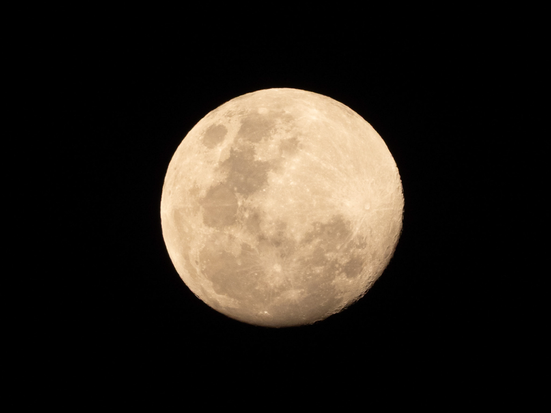 Moon, Harpy Eagle Reserve