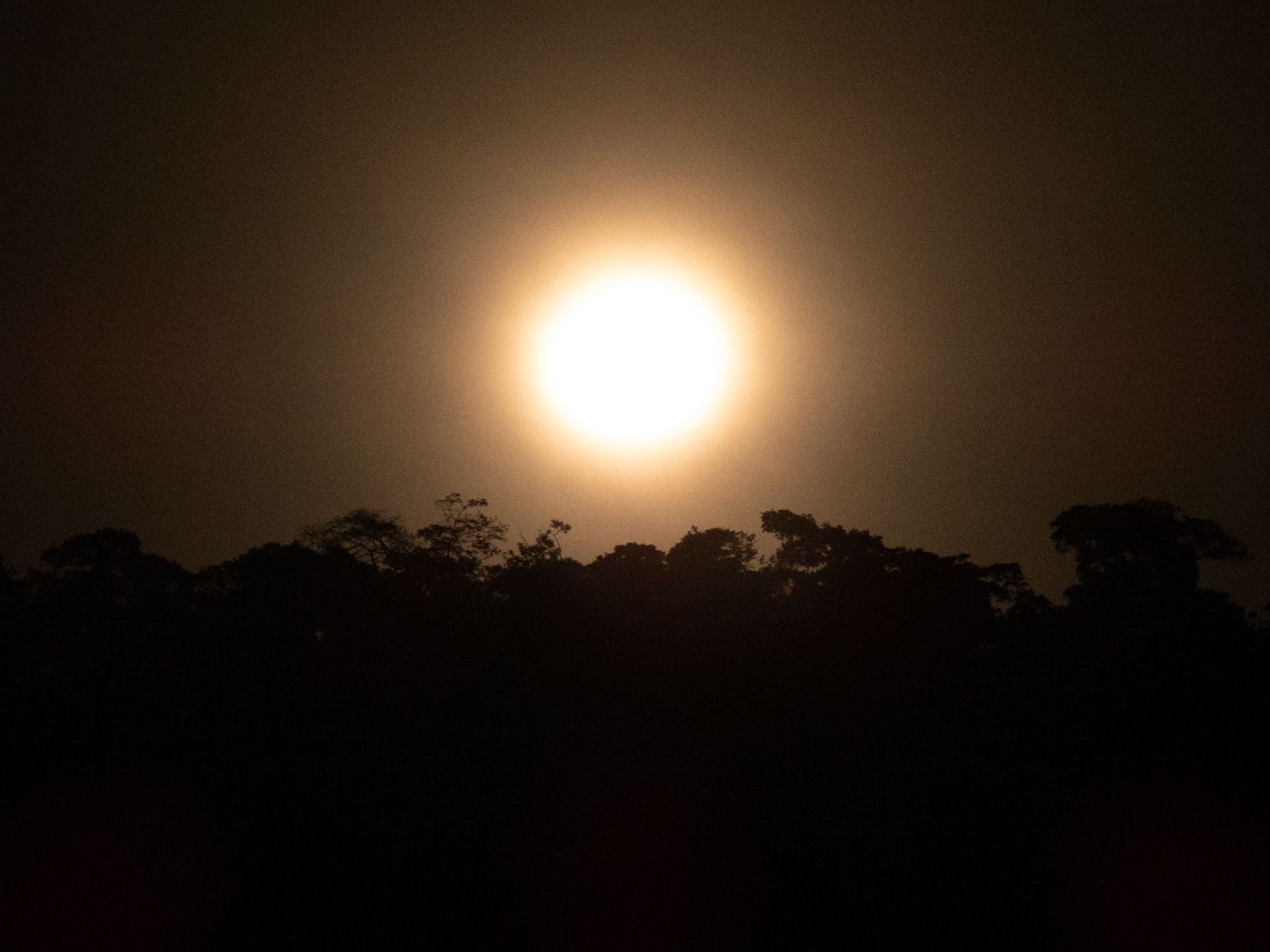Sun, Harpy Eagle Reserve