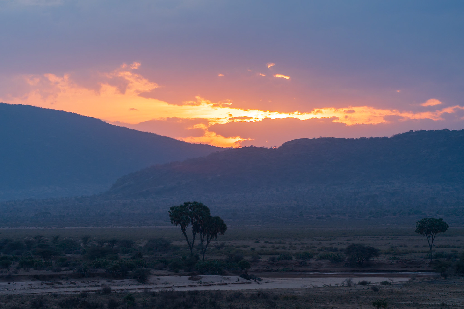Samburu Simba Lodge