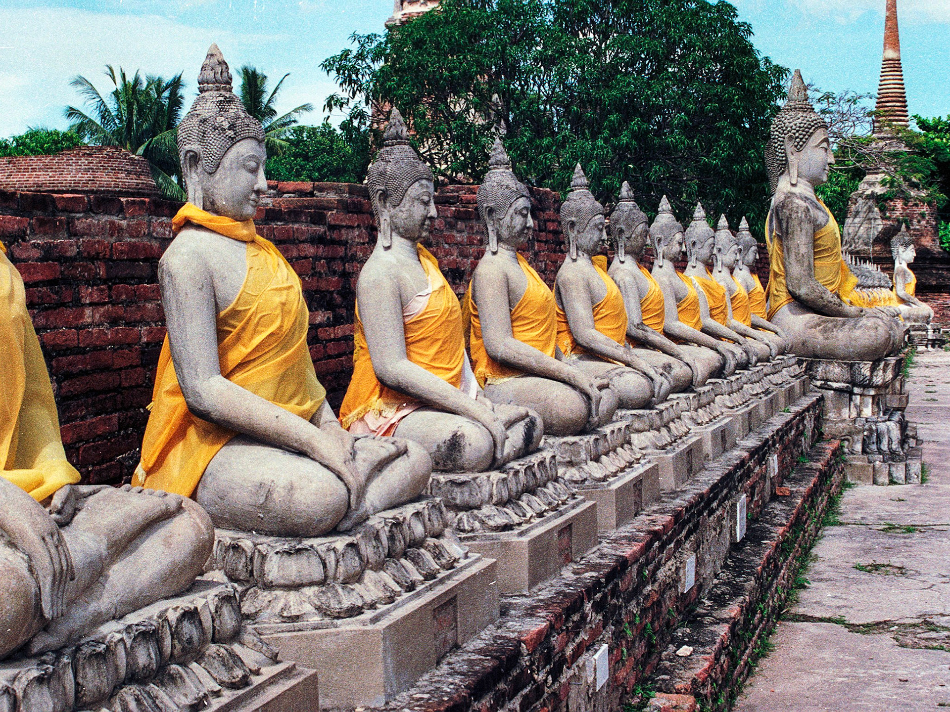 Row of Buddhas, Ayutthaya