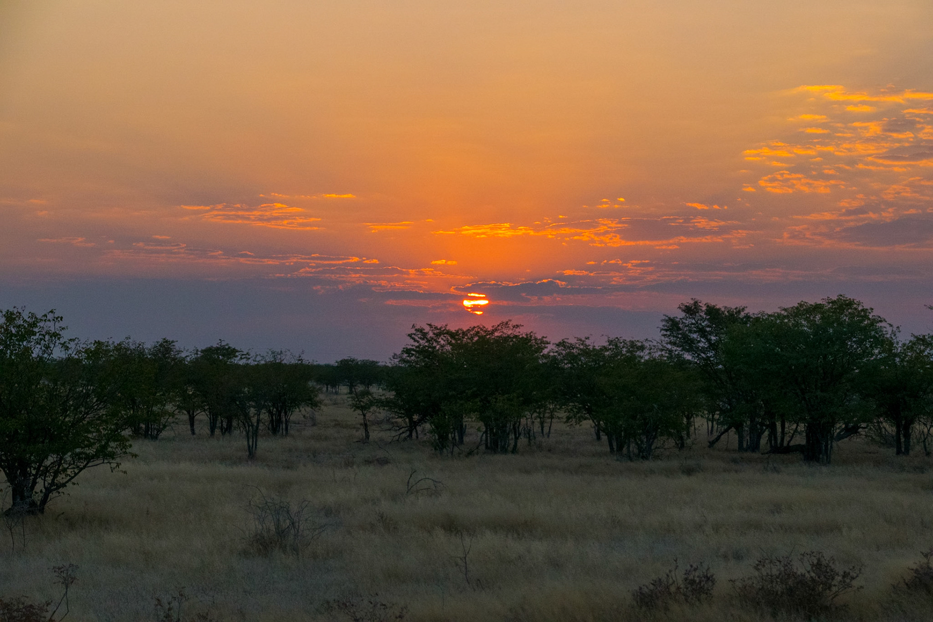 Sunset, Etosha, Namibia