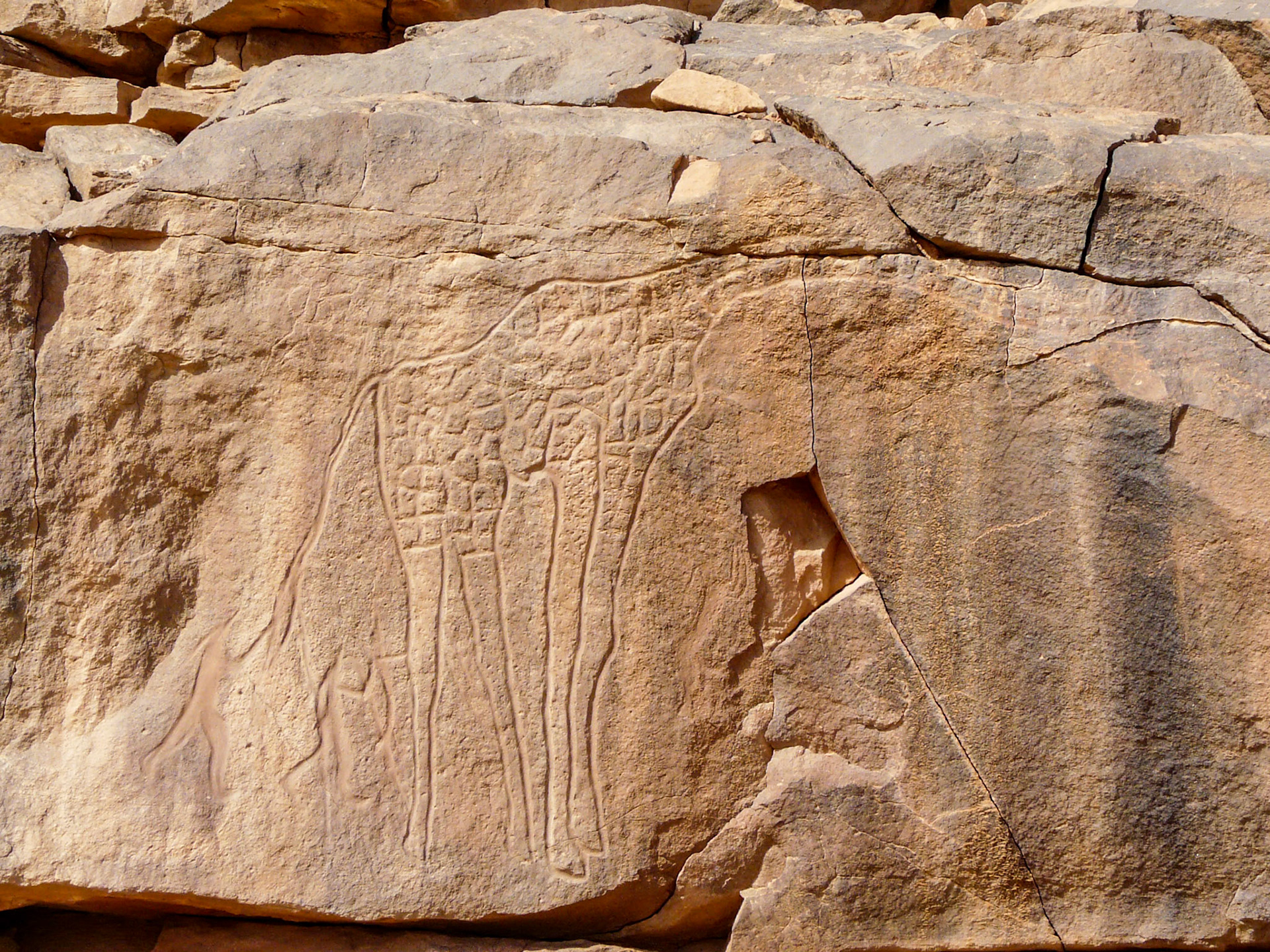 Carving of a giraffe, Wadi Methkandoush