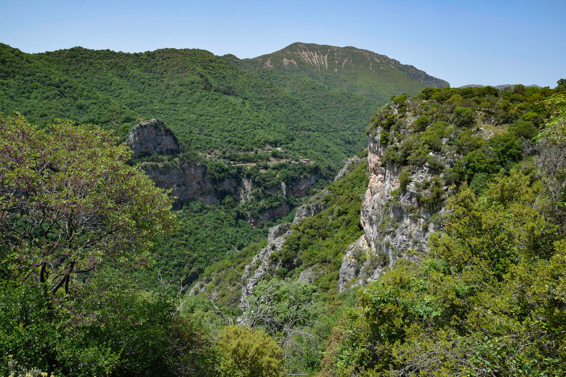 Lousios Gorge