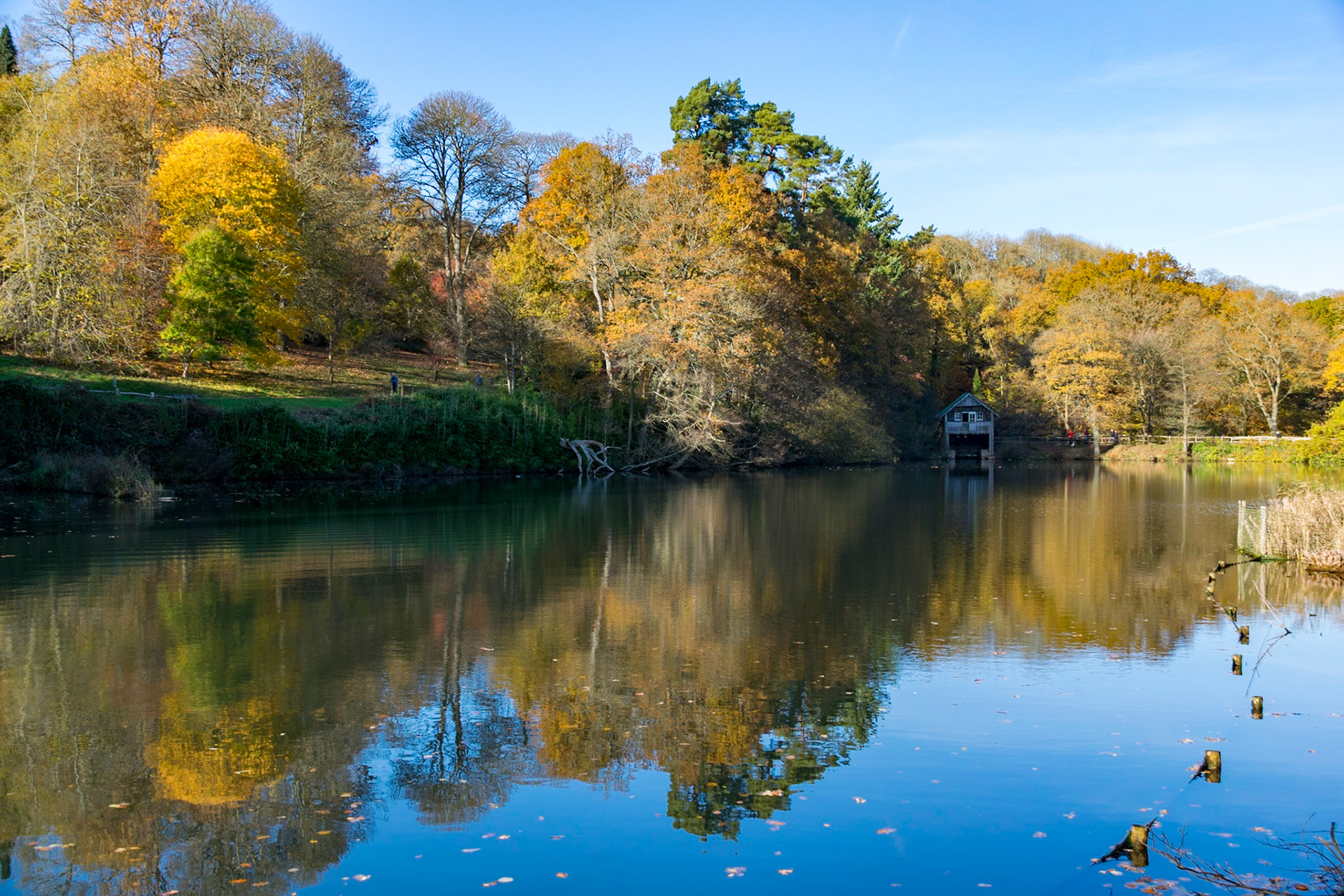 Autumn colours, Winkworth Arboretum, United Kingdom