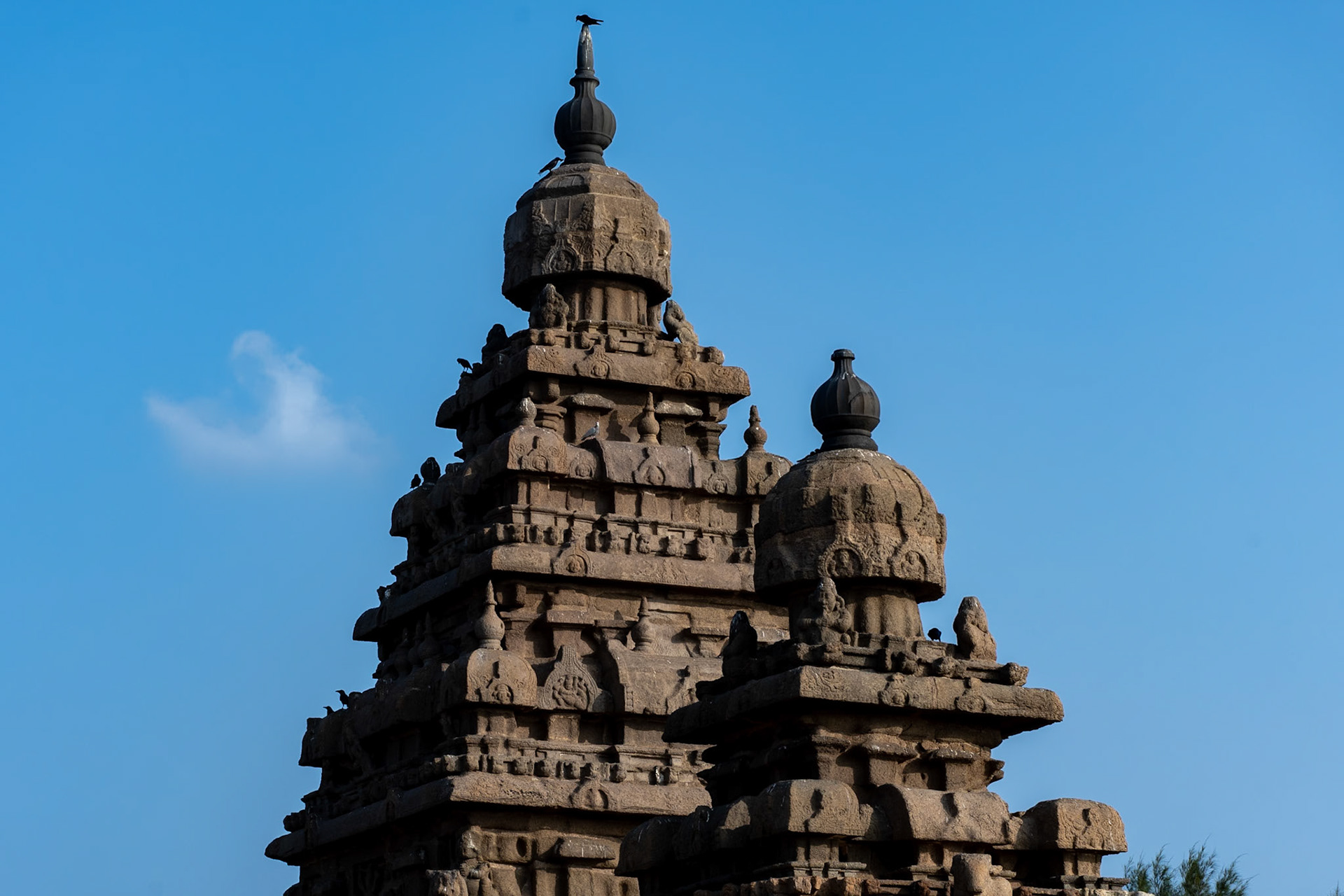 Shore Temple, Mahabalipuram