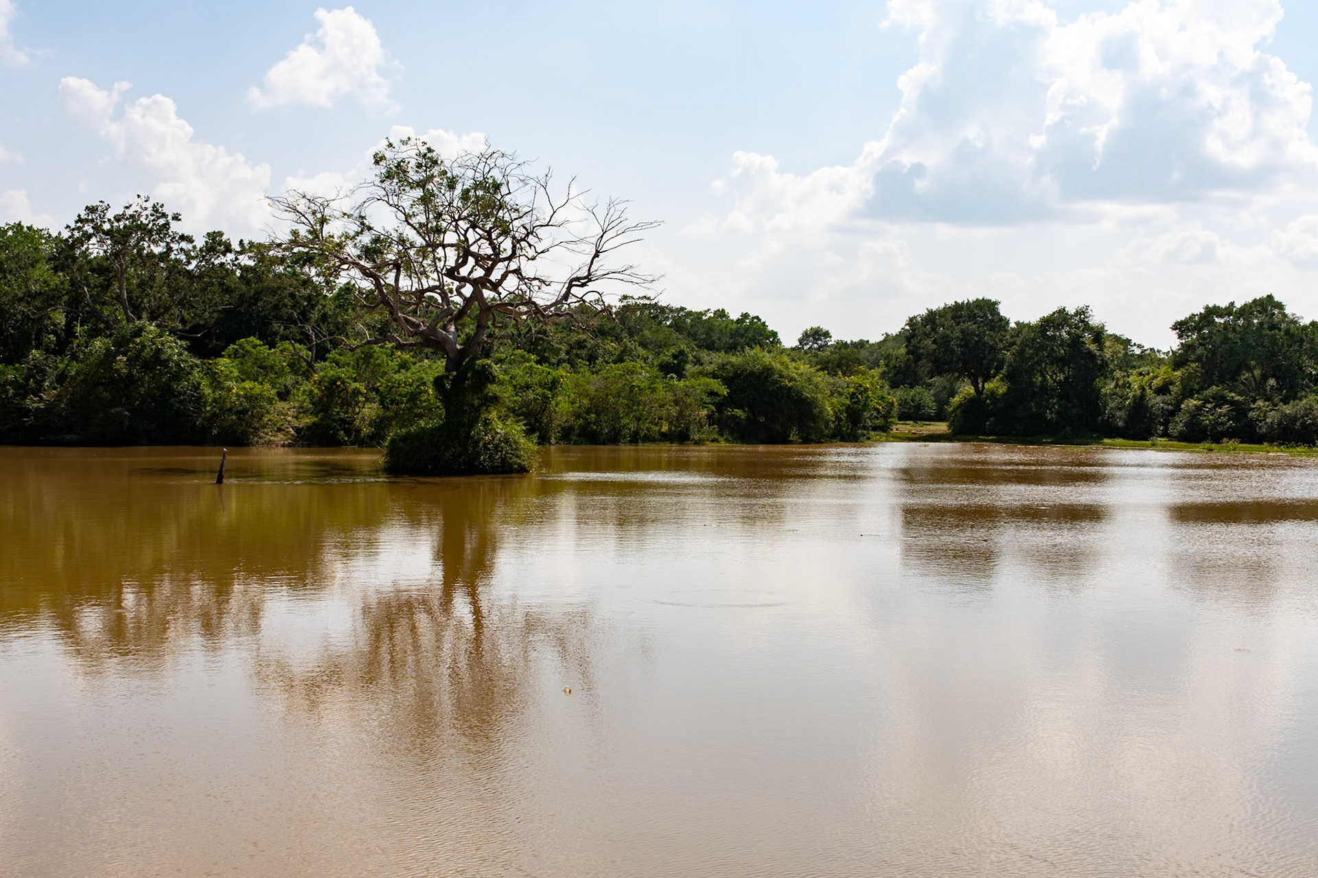 Wilpattu National Park