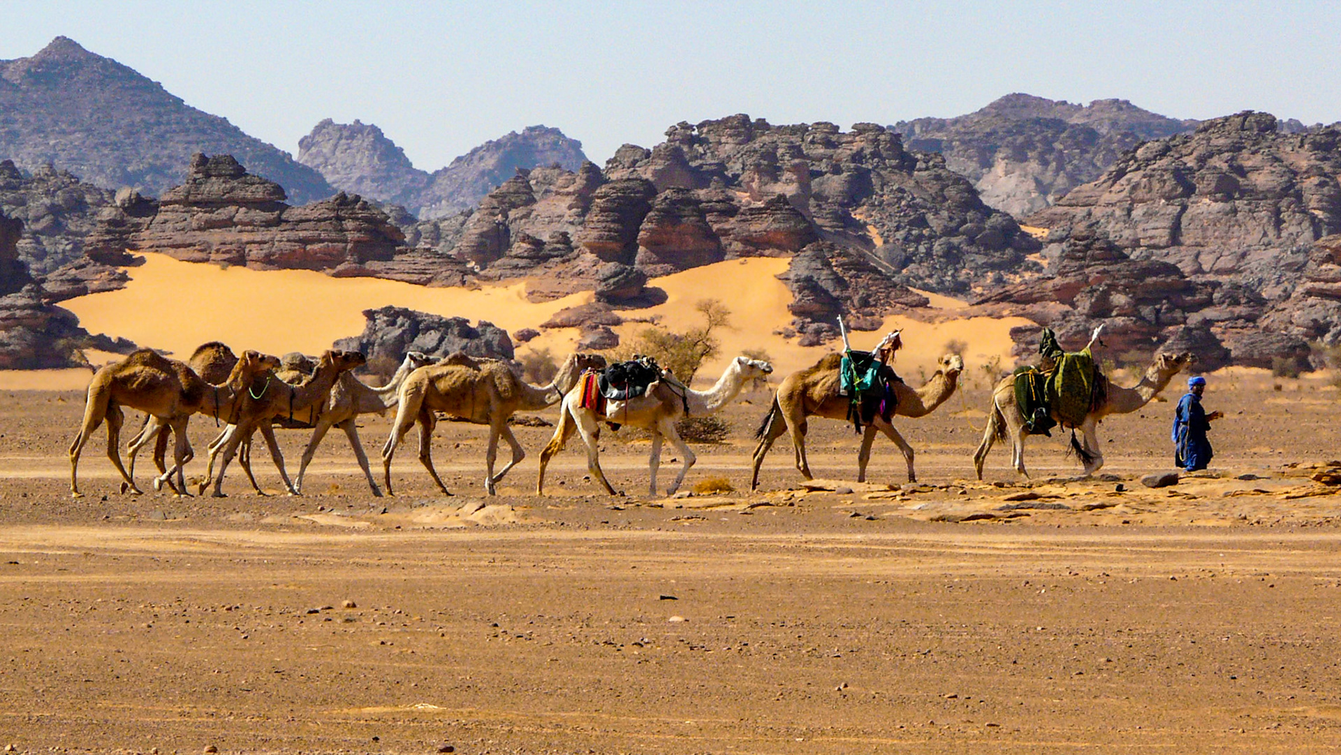Tuareg camel train, Northern Akakus