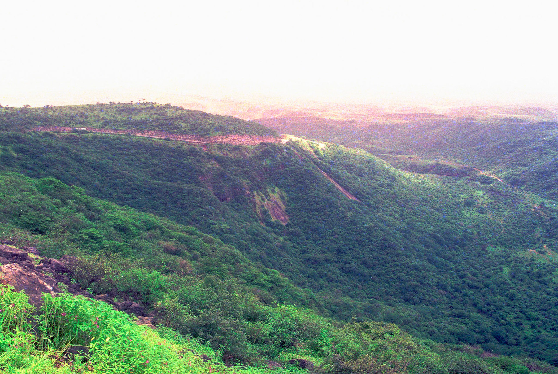 Green hills, Salalah