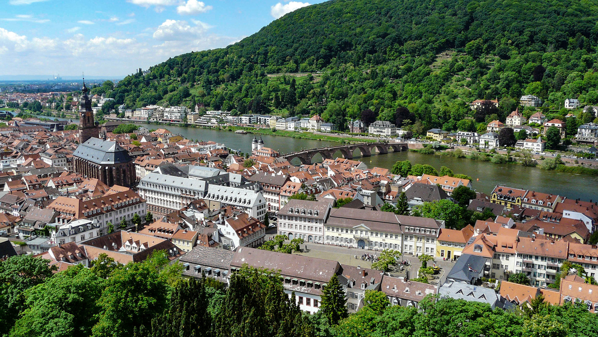 View from Castle, Heidelberg