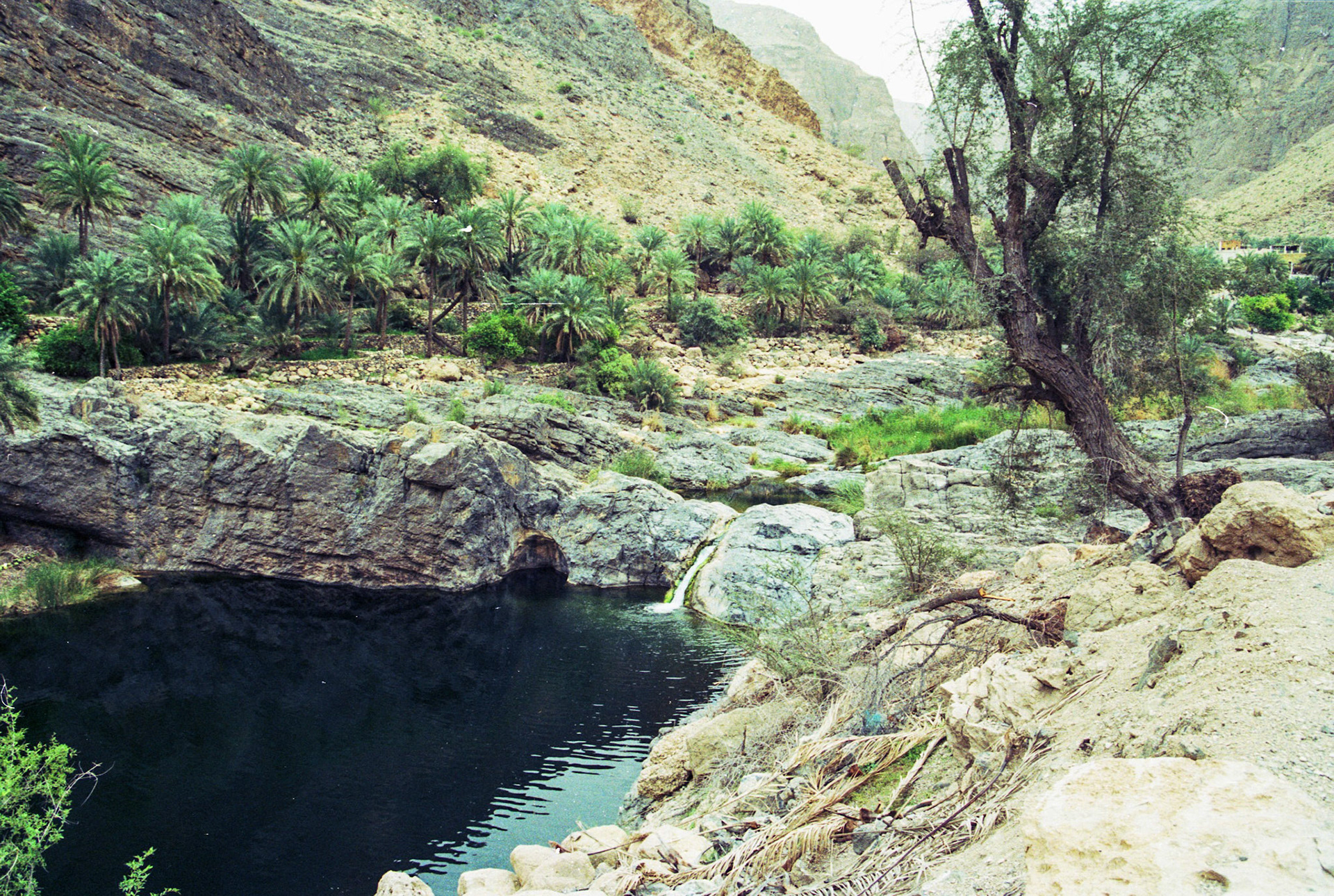 Wadi Suwayh