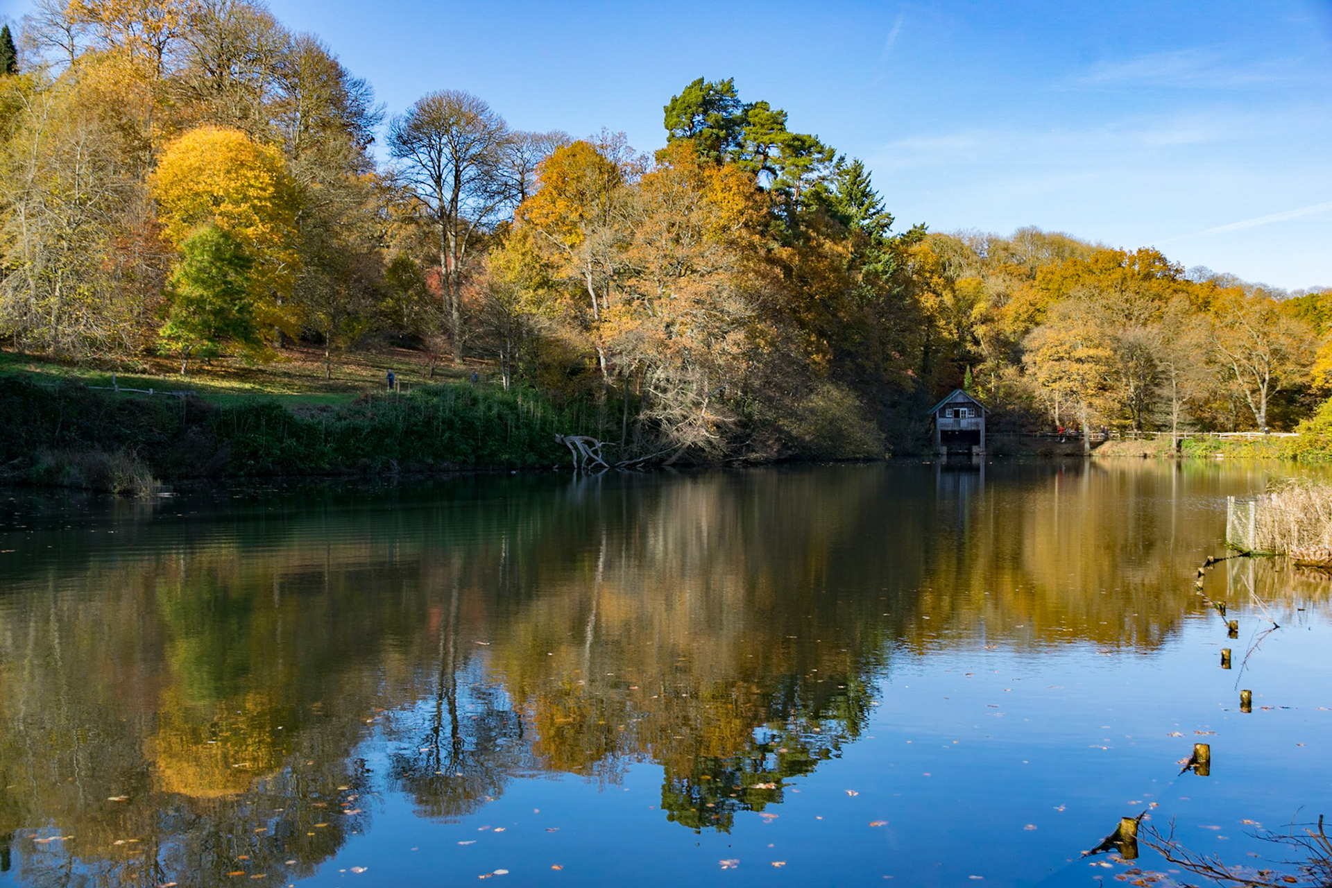 Autumn colours, Winkworth Arboretum, United Kingdom