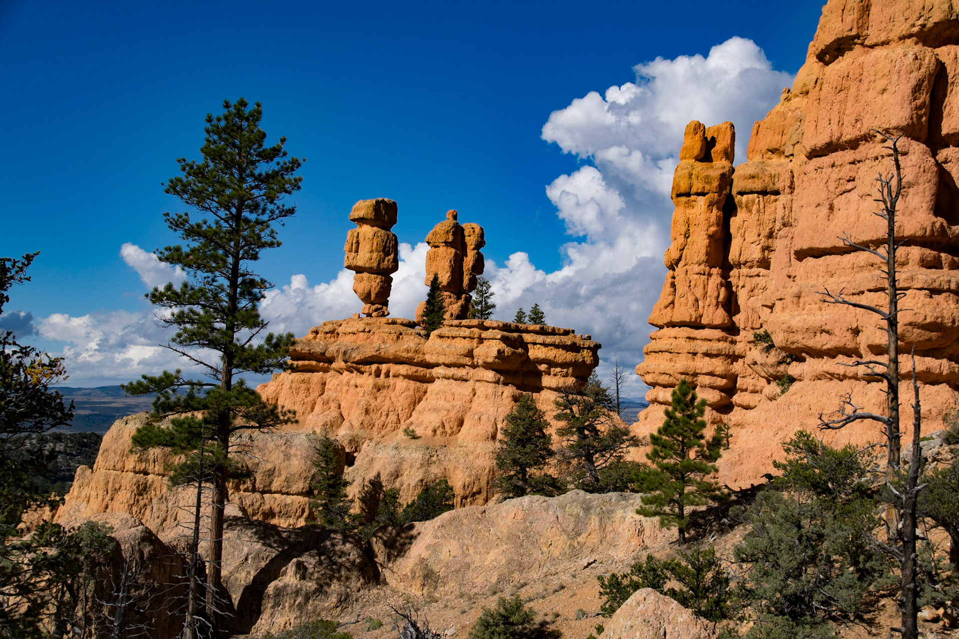 Red Canyon, Utah, United States of America