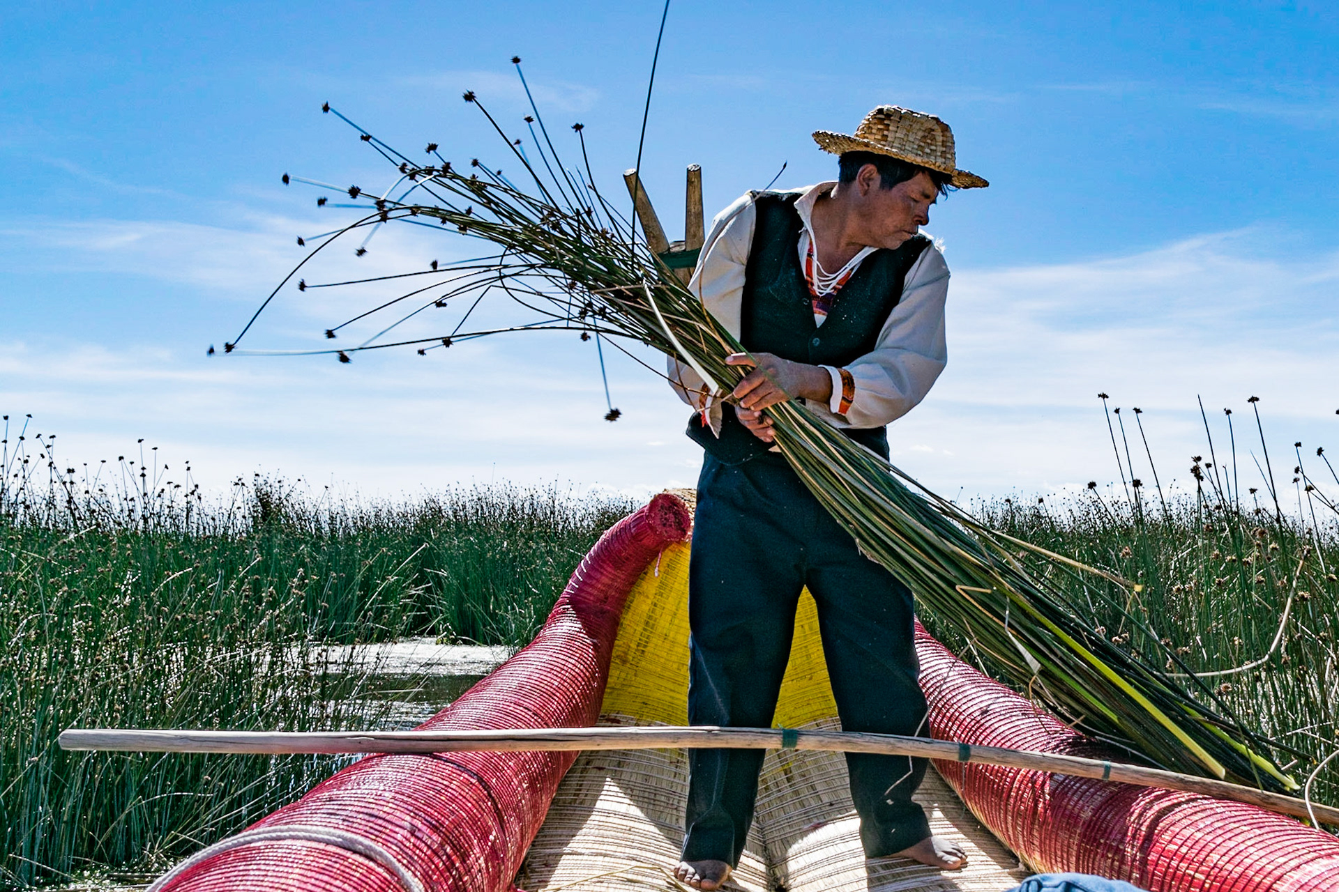 Gathering reeds, Lake Titicaca, Peru
