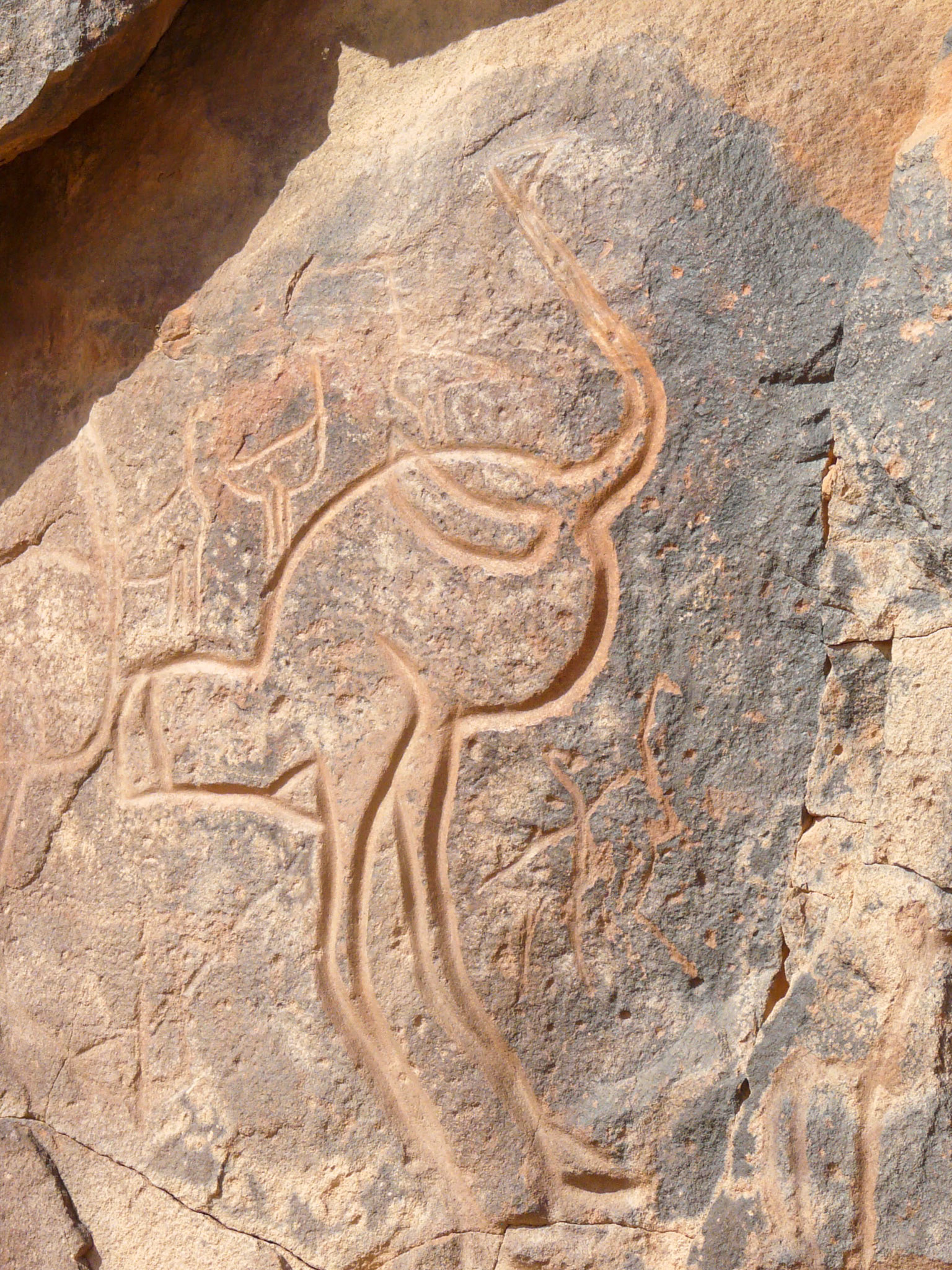 Carving of an ostrich, Wadi Methkandoush