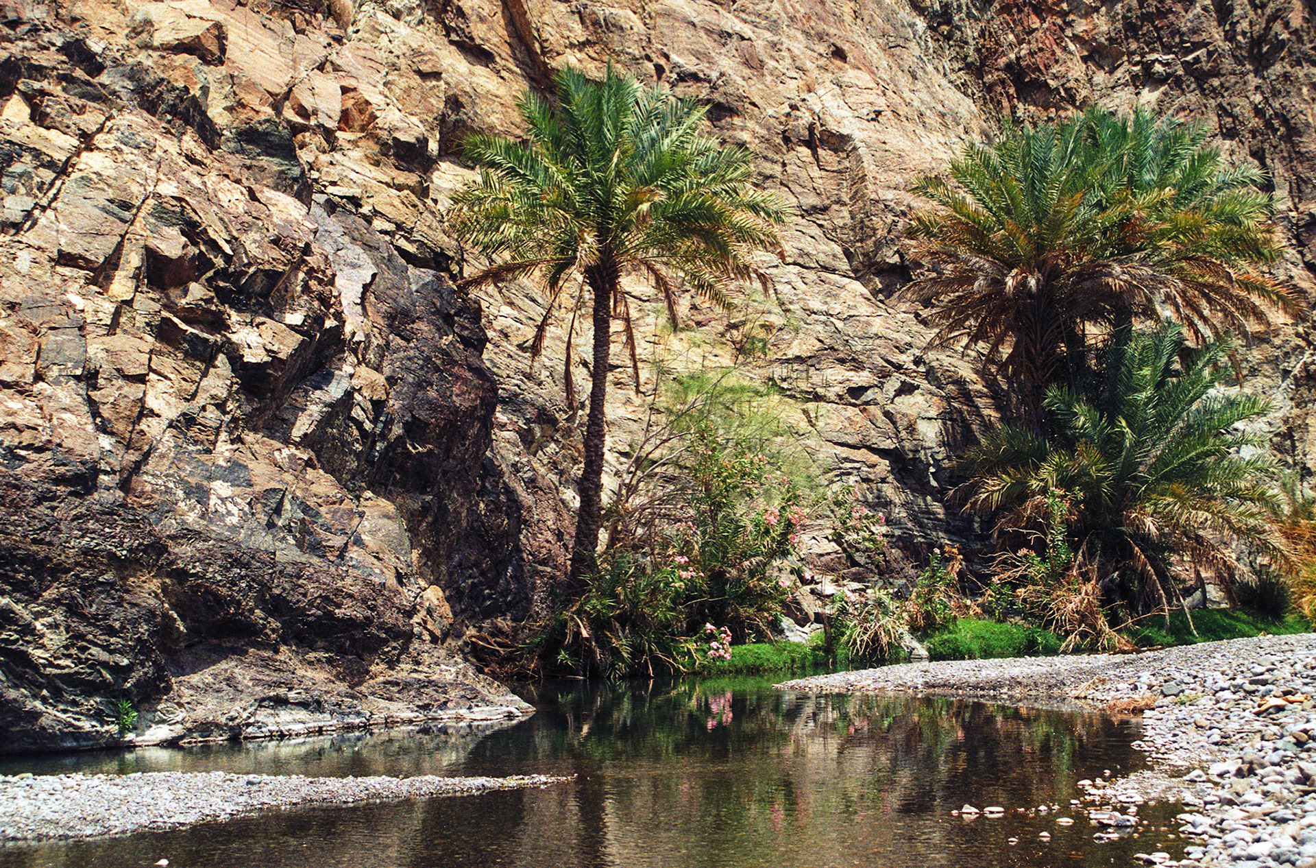 Wadi Abiyadh