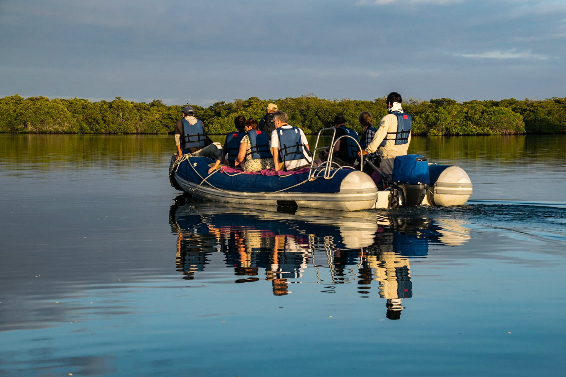 Searching for wildlife, Santa Cruz, Ecuador