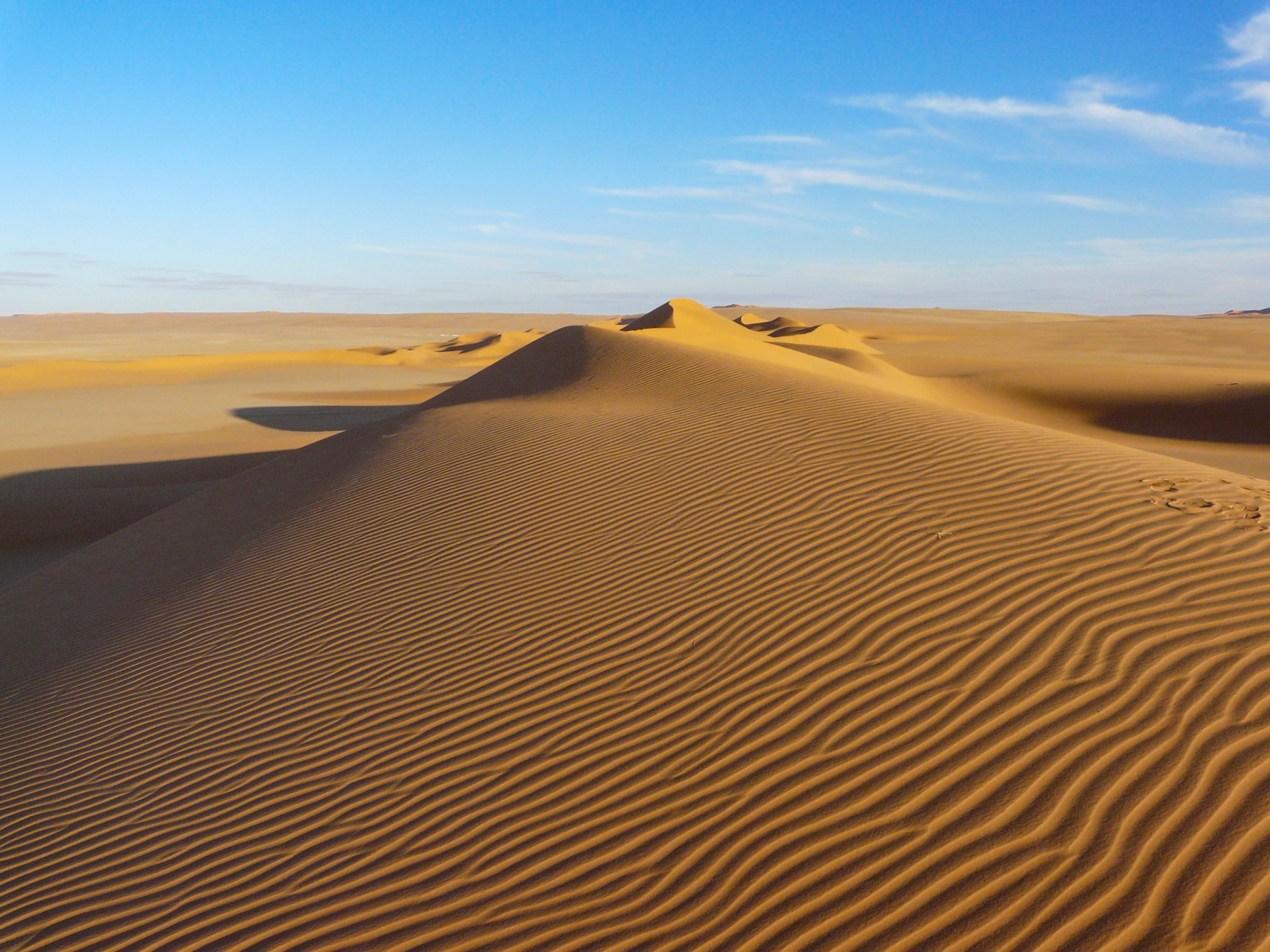 Dunes at dusk, Murzuq Sandsea
