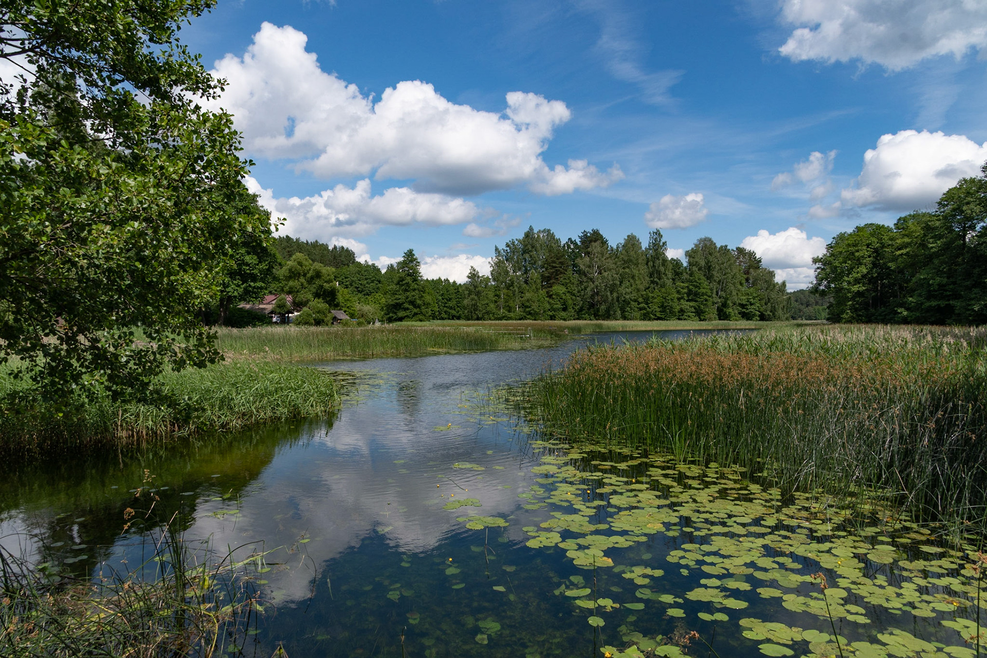 Lake, Ginuciai, Aukstaitija NP, Lithuania