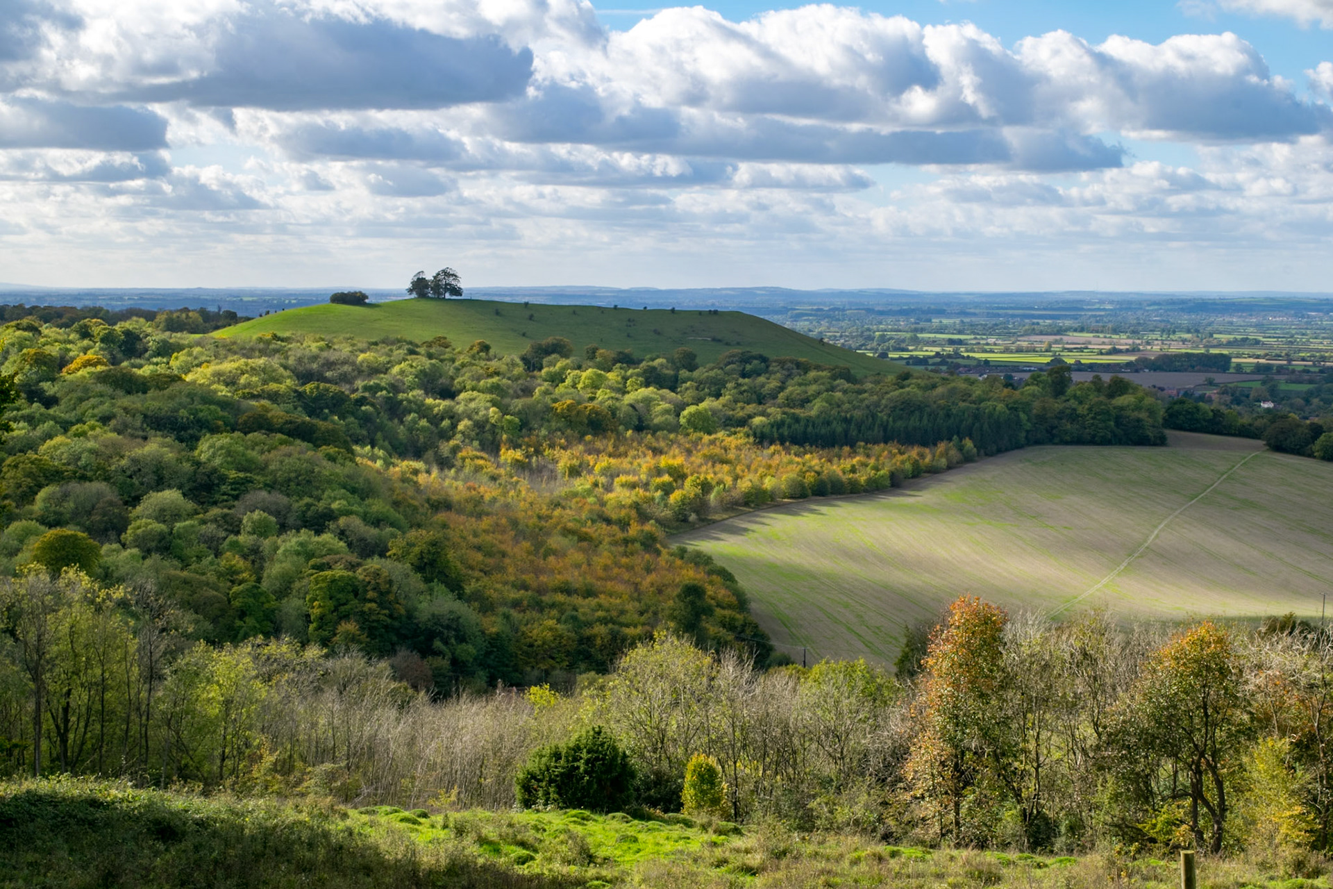 View from Path near Ellesborough