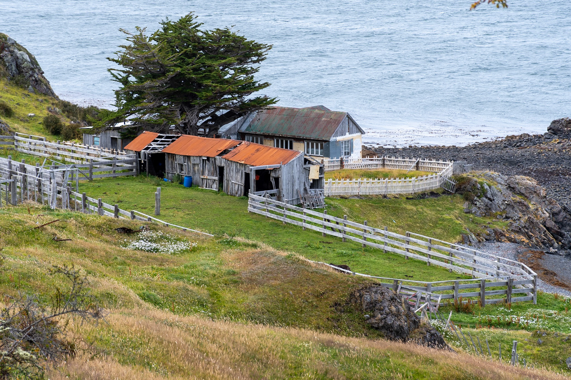Estancia Tunel, Beside Beagle Channel, Ushuaia