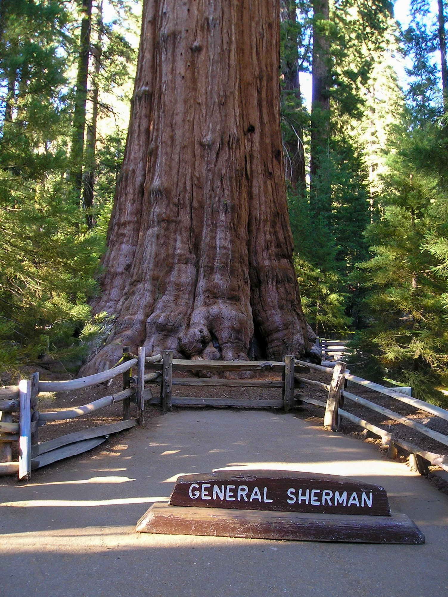 Sequoia National Park