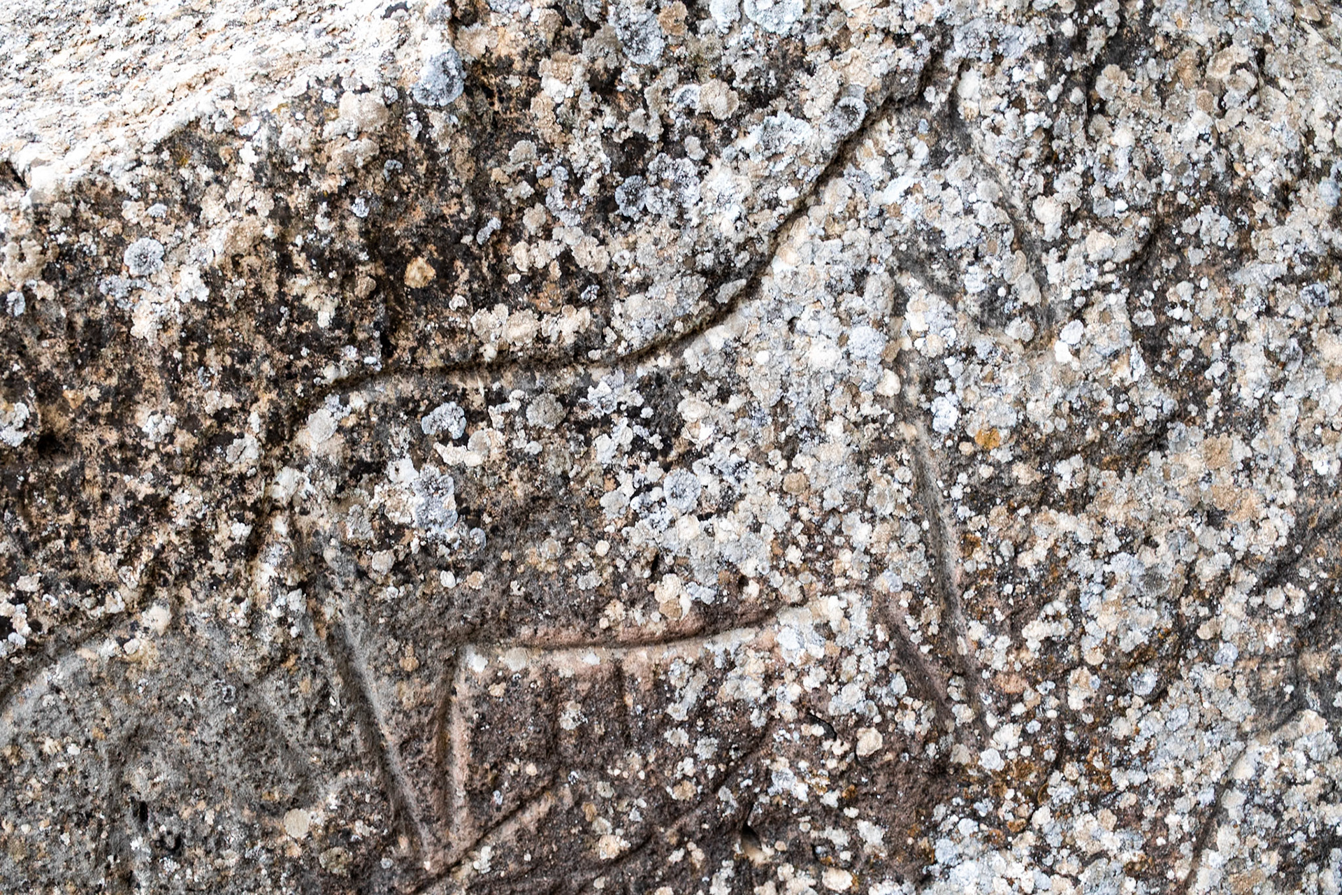 Petroglyphs, Qobustan