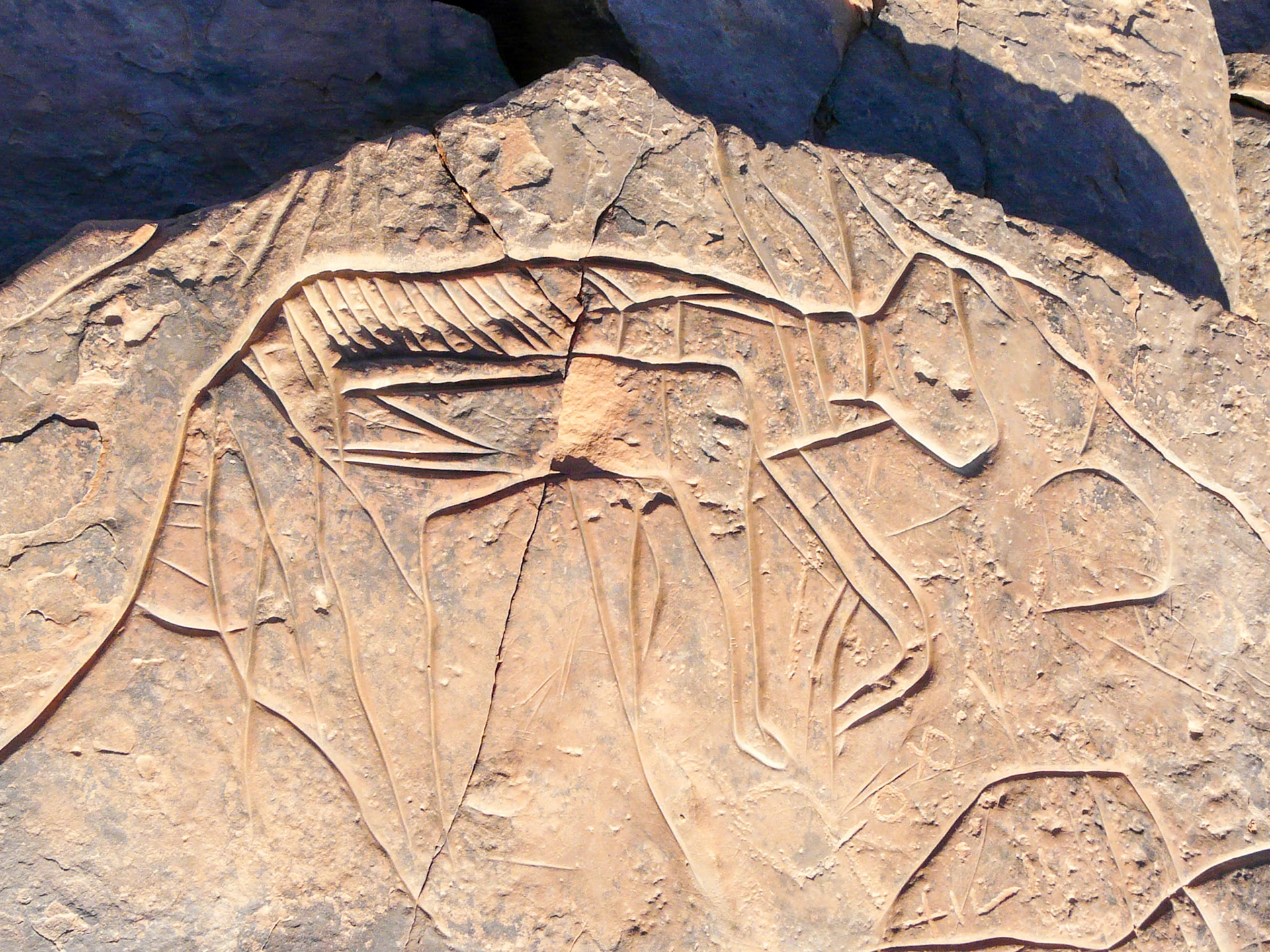 Carving of cat, Msak Settafet