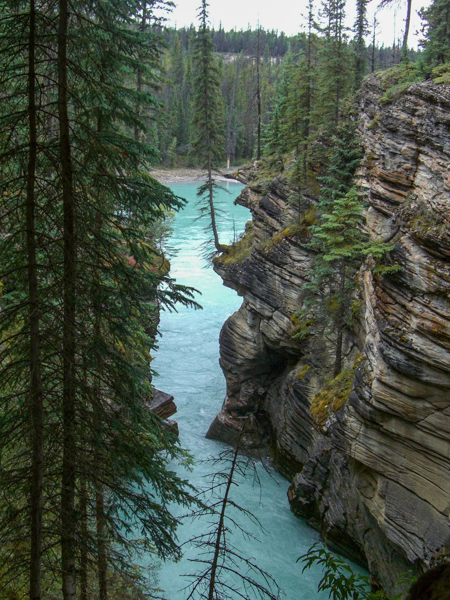 Downstream of Athabasca Falls, AB