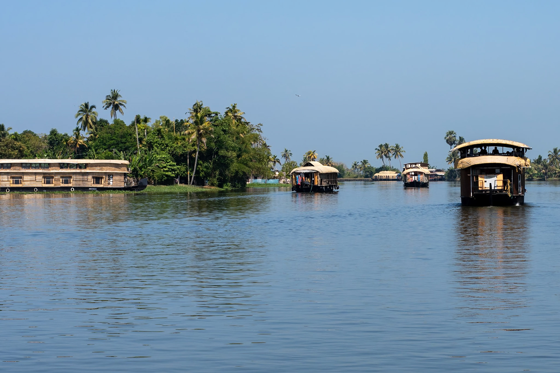 Houseboats, Backwaters, Alleppey