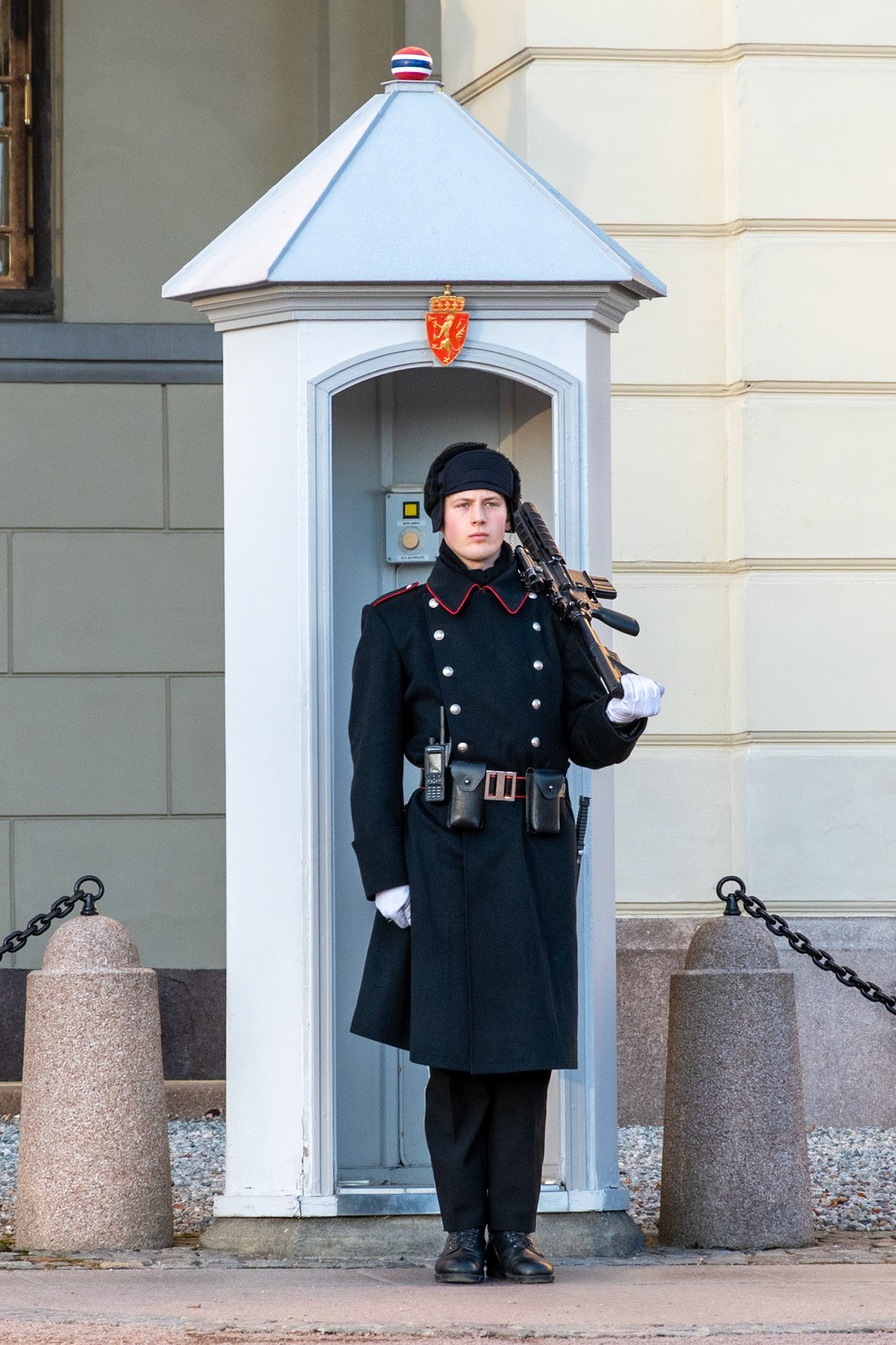Guardsman, Royal Palace, Oslo
