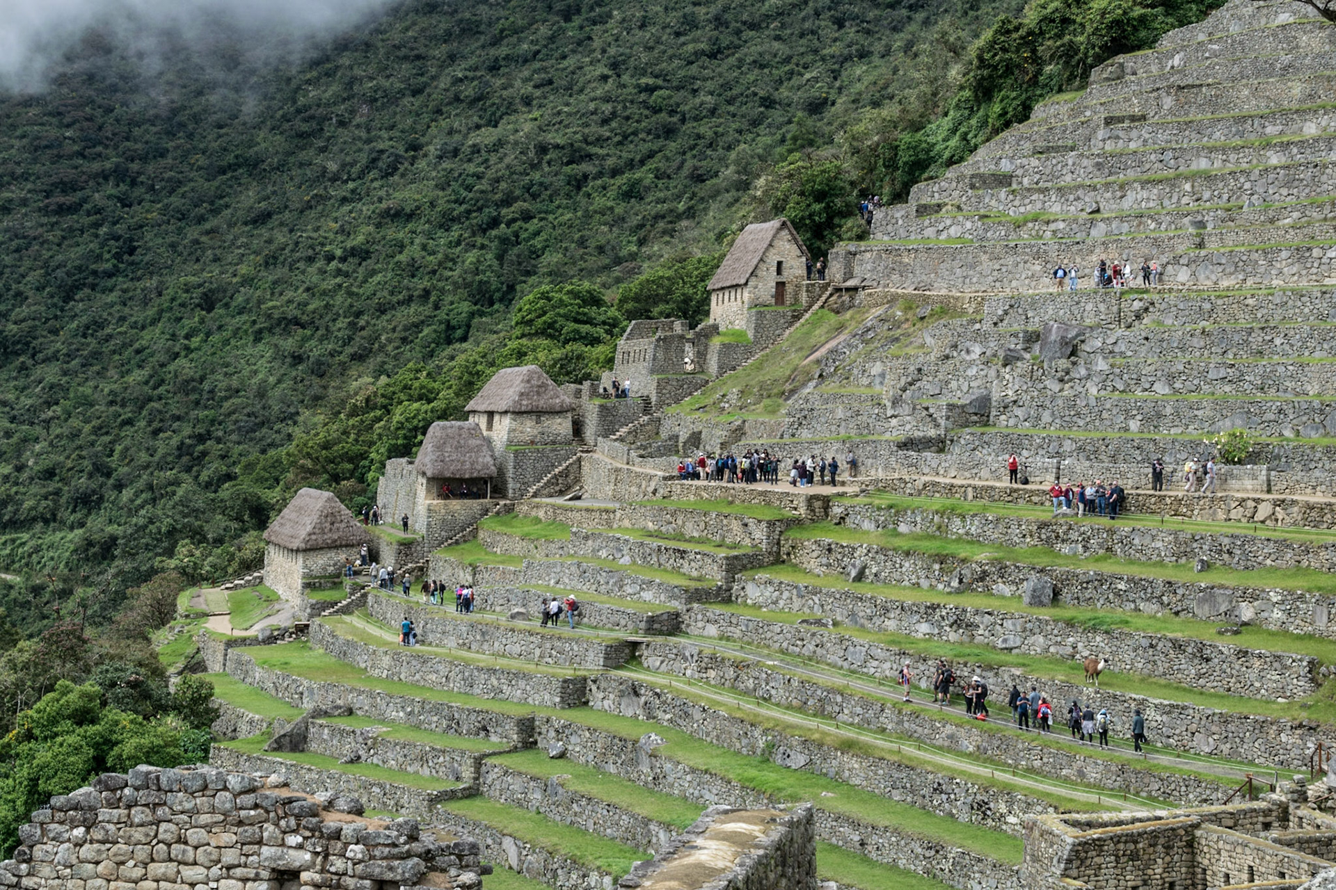 Terraces, Macchu Pichu