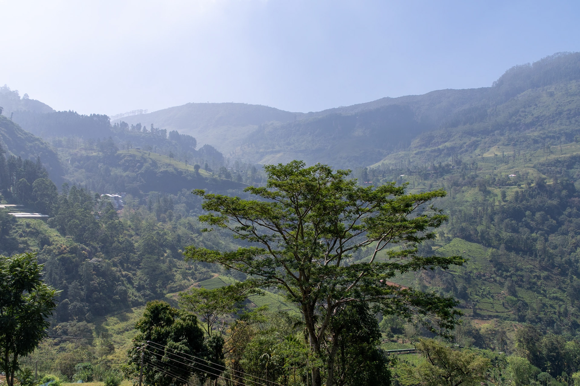 Ramboda, en route to Ella