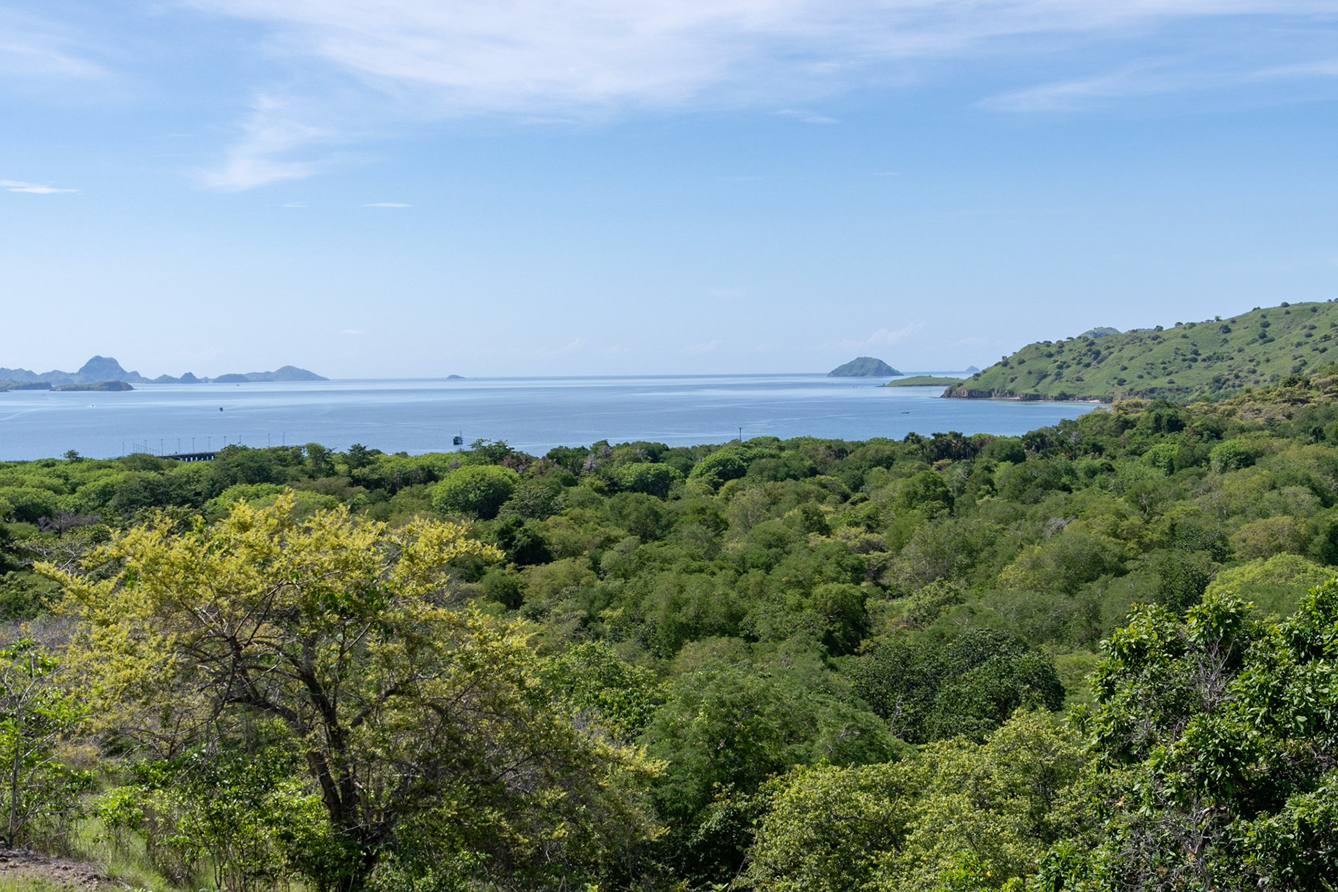 Komodo Island