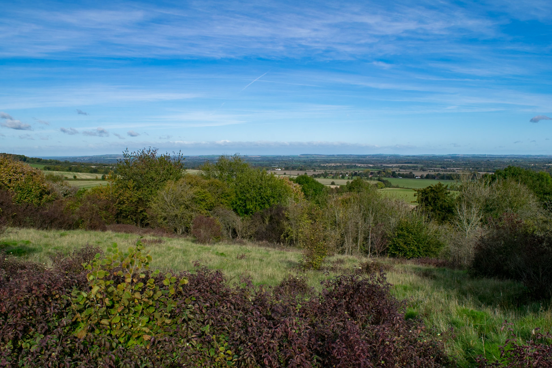 View from Path near Saunderton Lee
