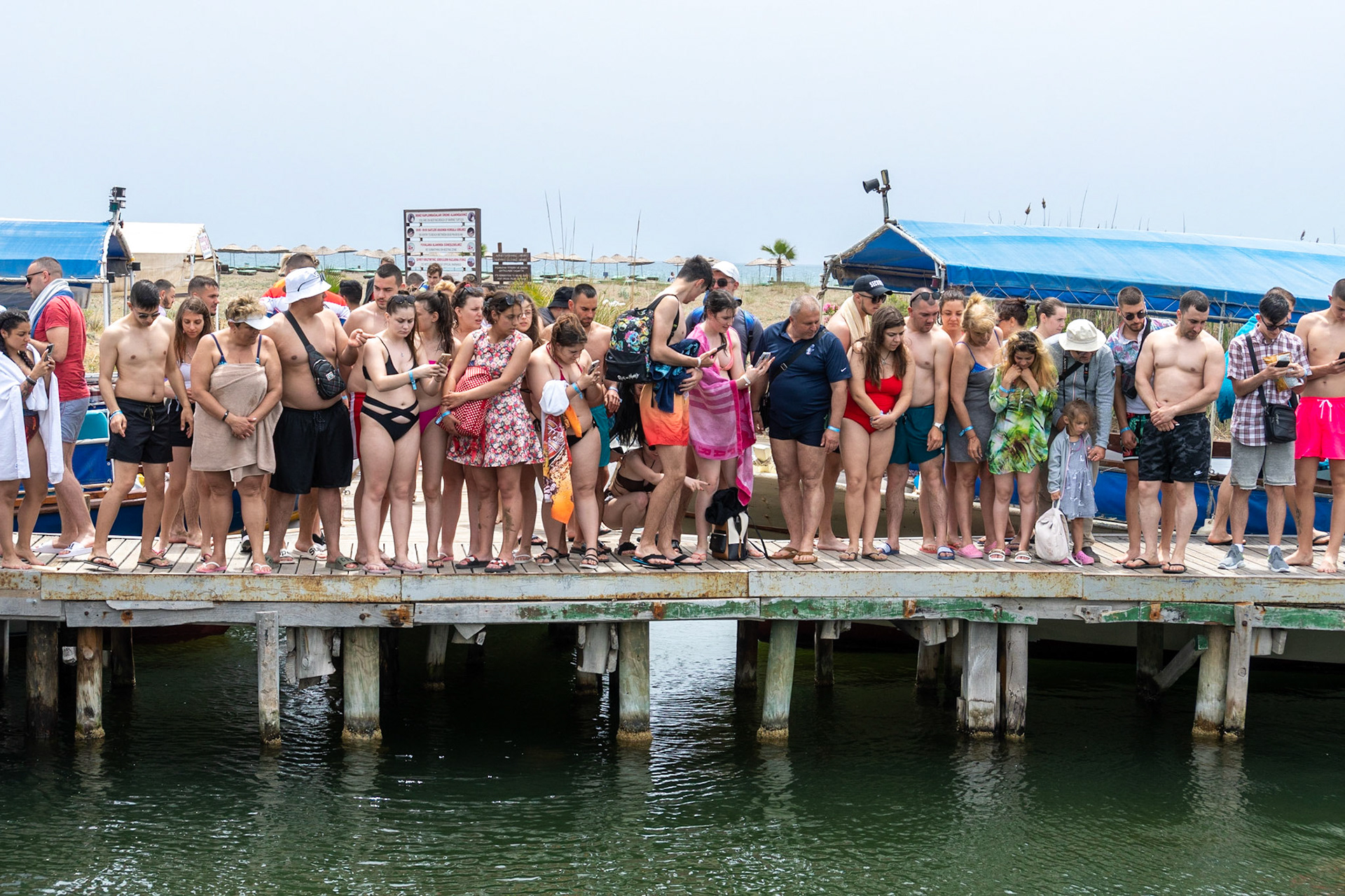 Tourists watching Loggerhead Turtle, Dalyan, Turkiye, 2023