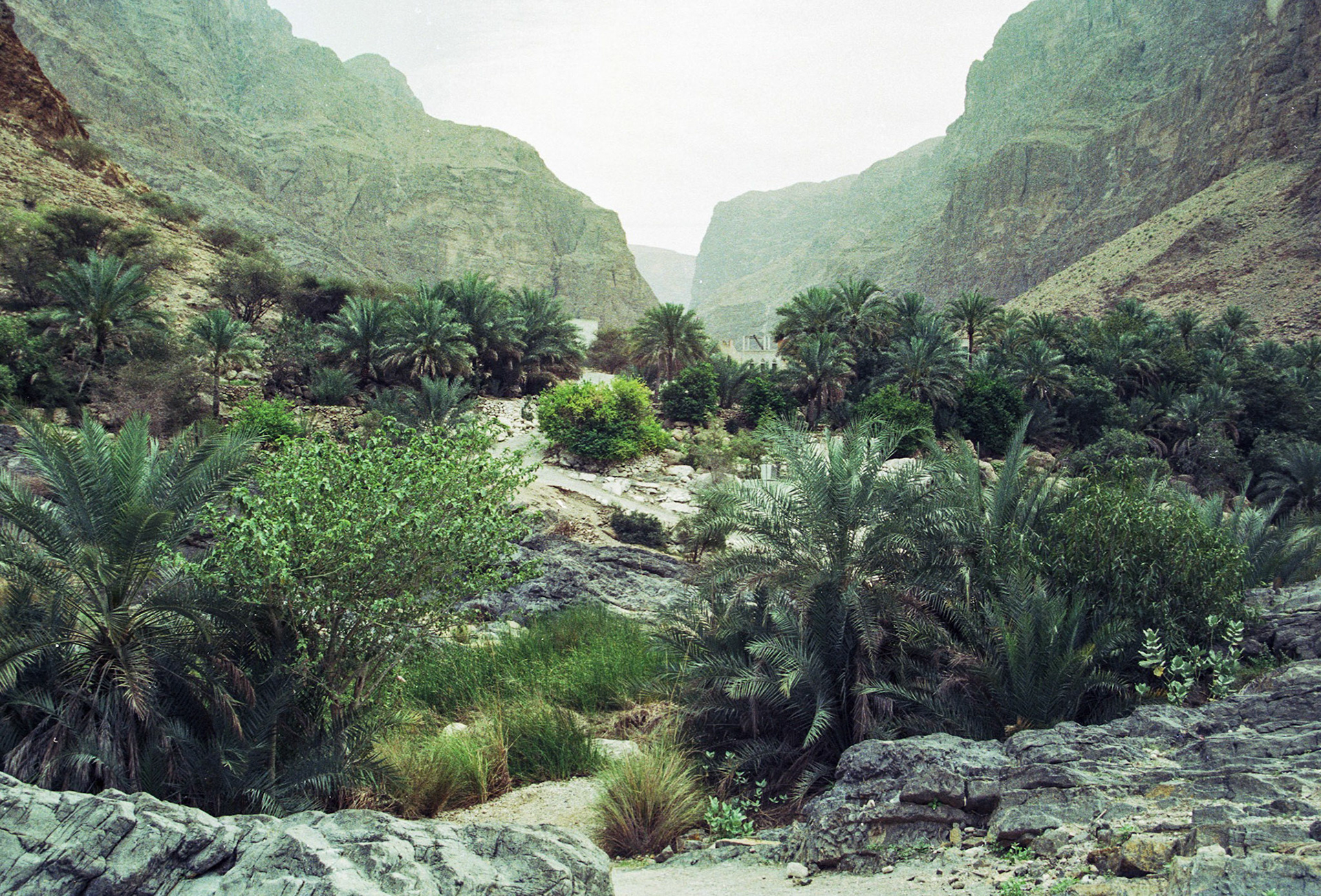 Wadi Suwayh