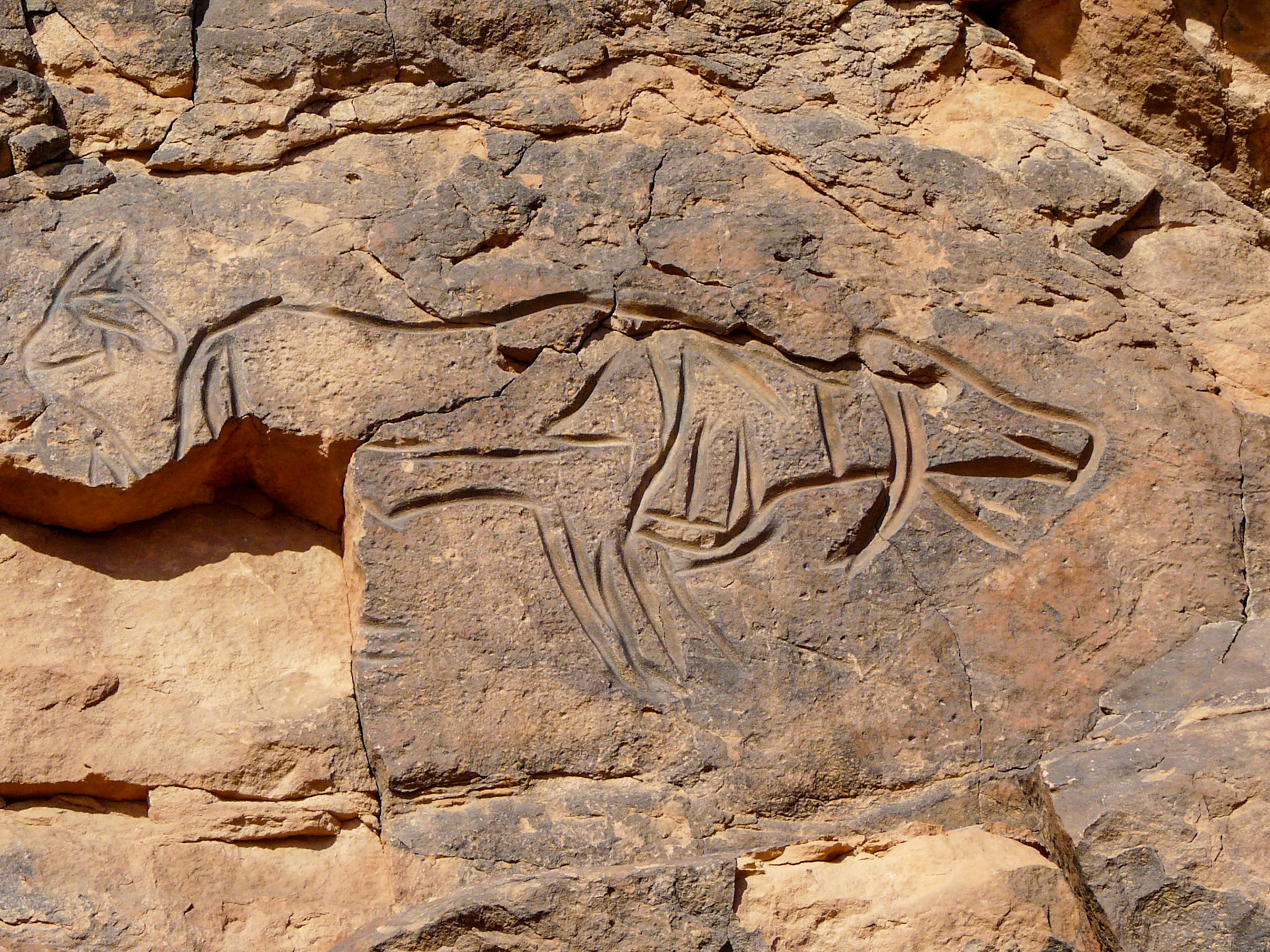 Carving of a bull, Wadi Methkandoush